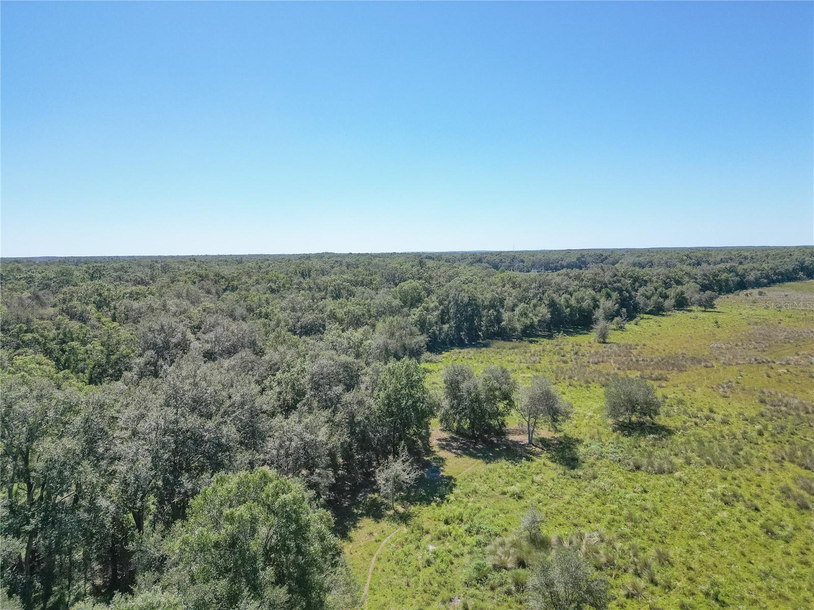 TBD CR 673, WEBSTER, FL — photo 25