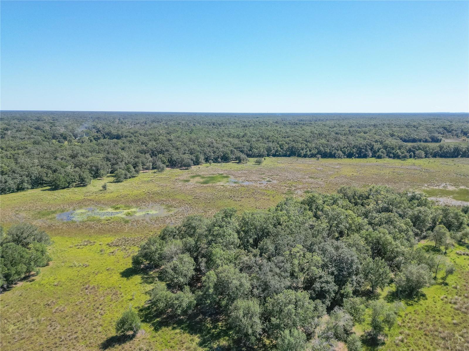 TBD CR 673, WEBSTER, FL — photo 26