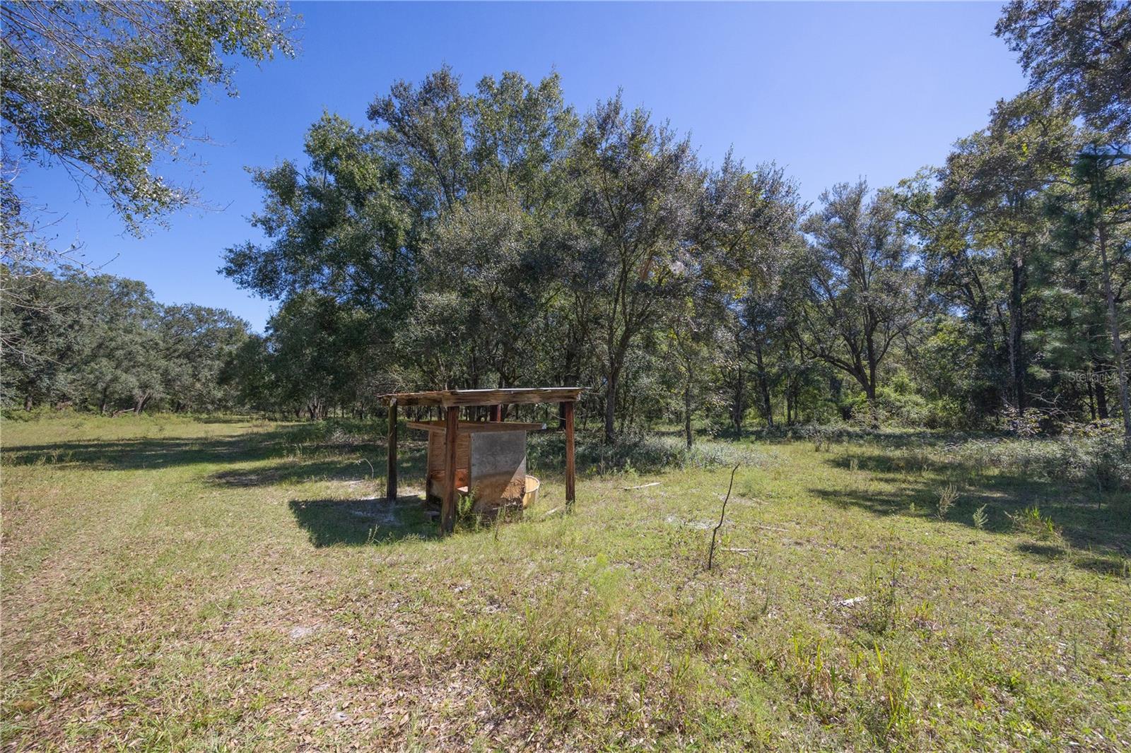 TBD CR 673, WEBSTER, FL — photo 28