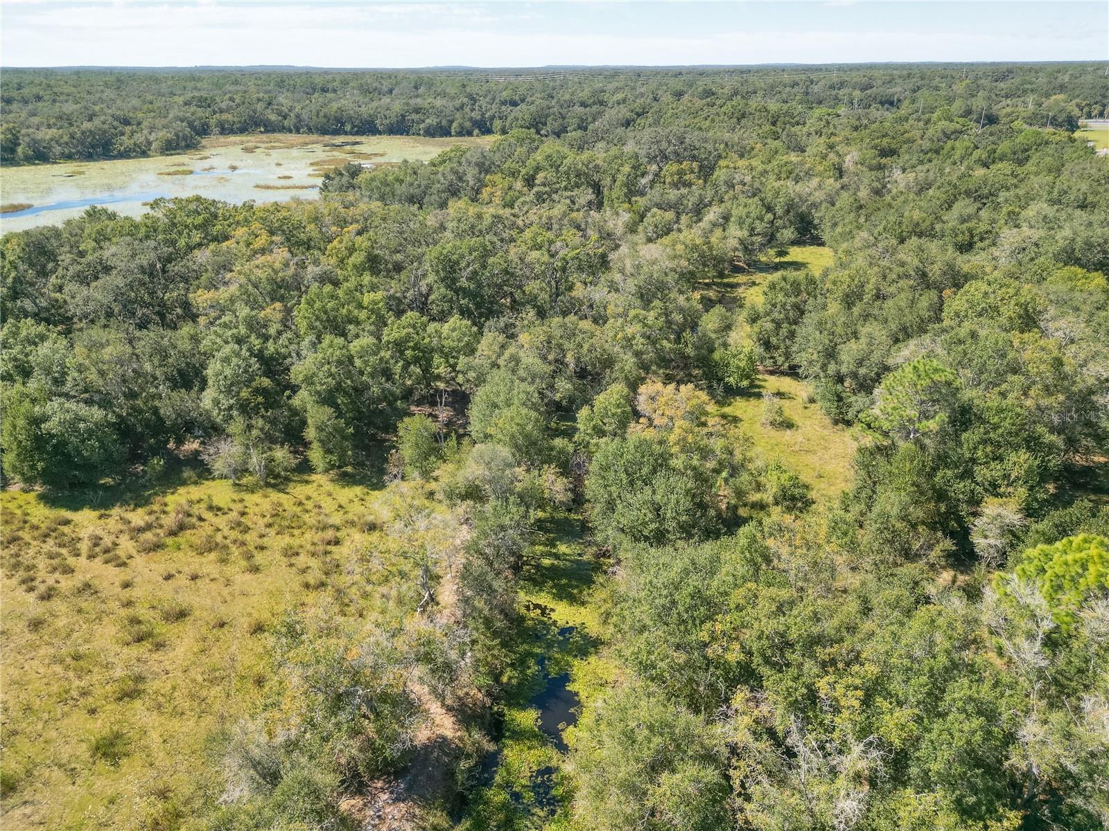 TBD CR 673, WEBSTER, FL — photo 35