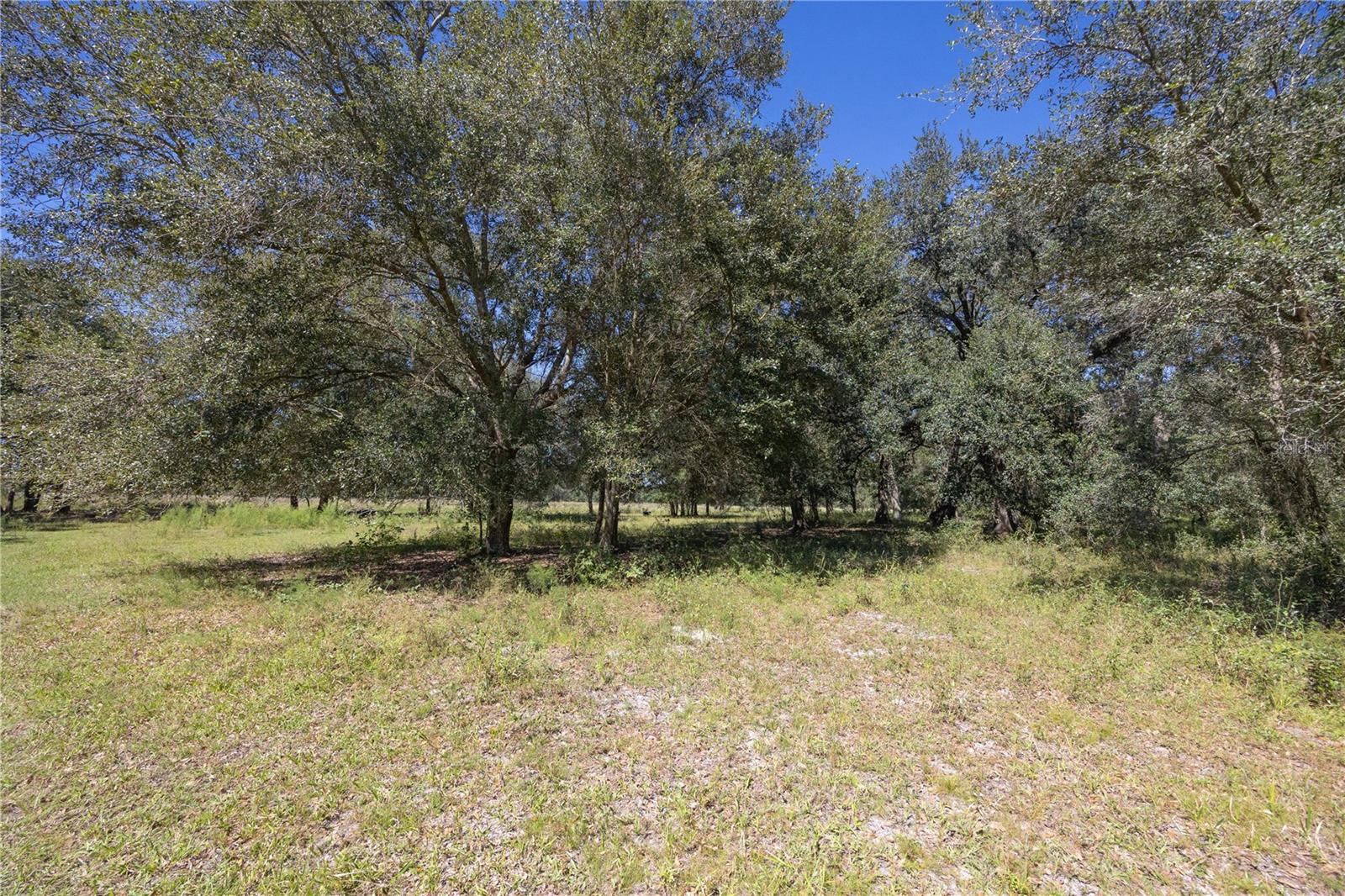 TBD CR 673, WEBSTER, FL — photo 37