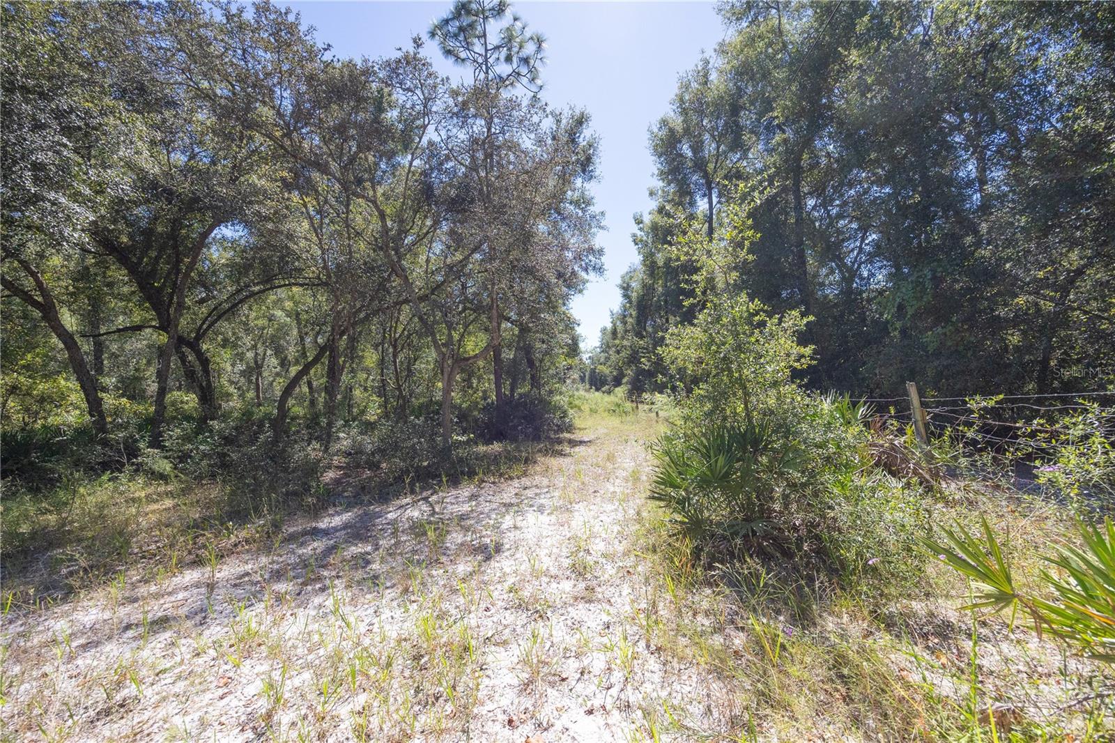 TBD CR 673, WEBSTER, FL — photo 38