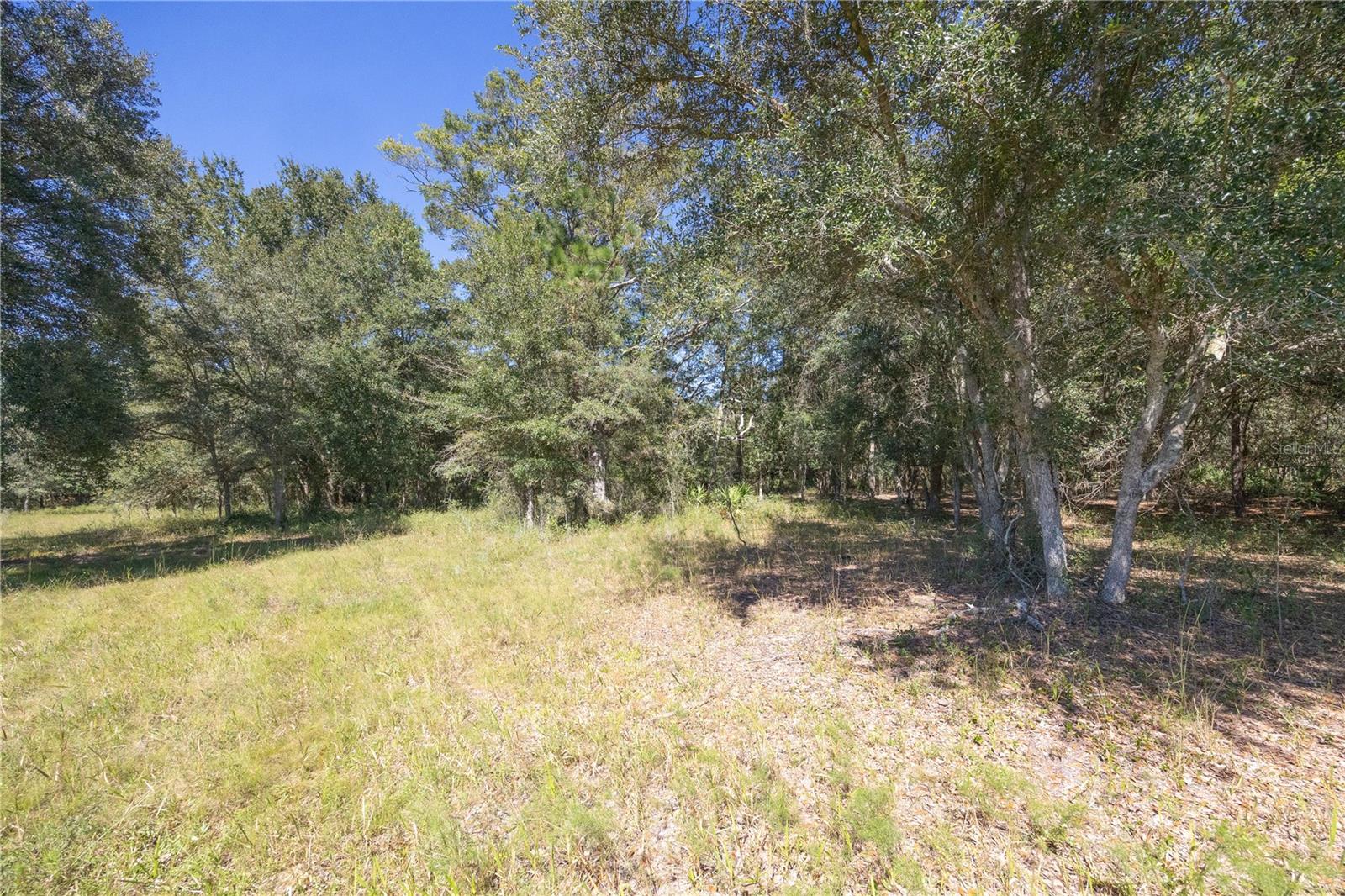 TBD CR 673, WEBSTER, FL — photo 39