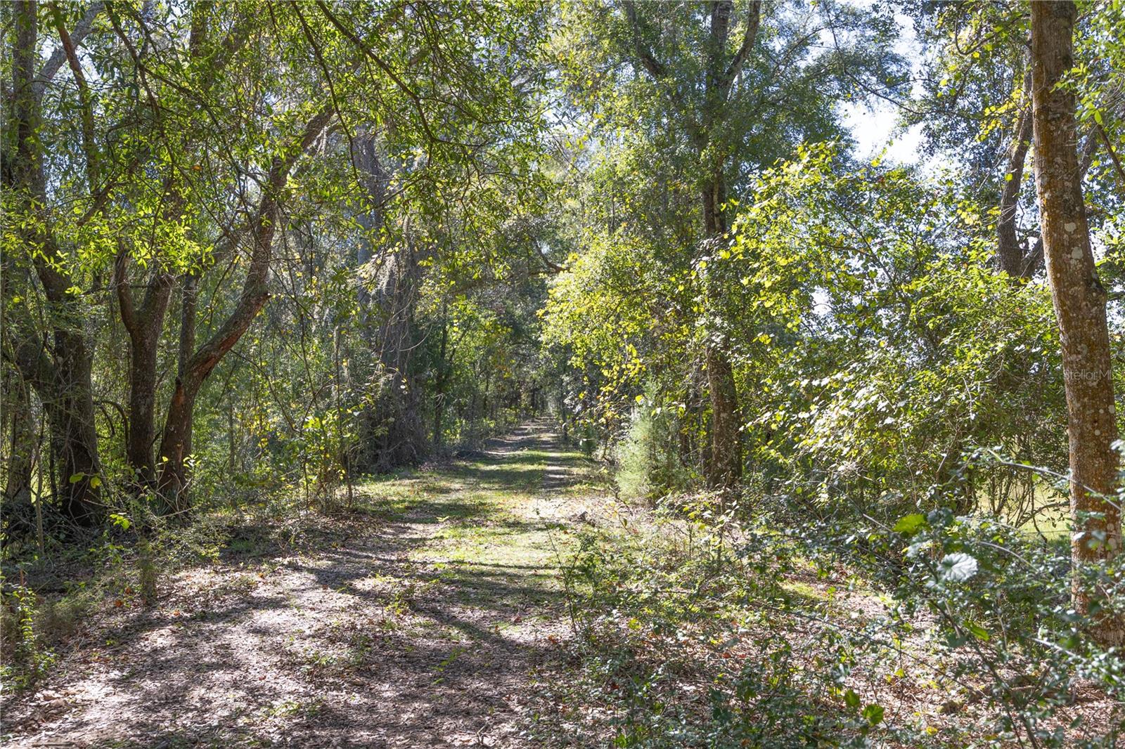 TBD CR 673, WEBSTER, FL — photo 40
