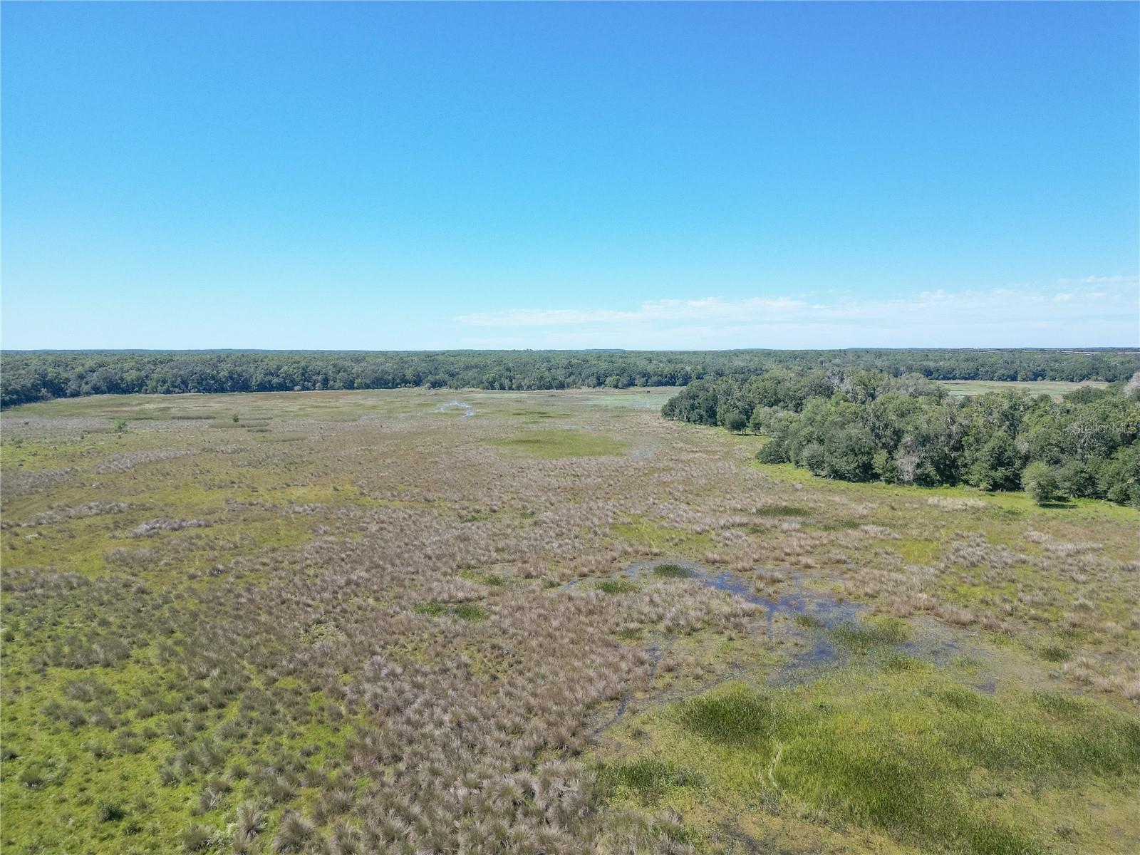 TBD CR 673, WEBSTER, FL — photo 42