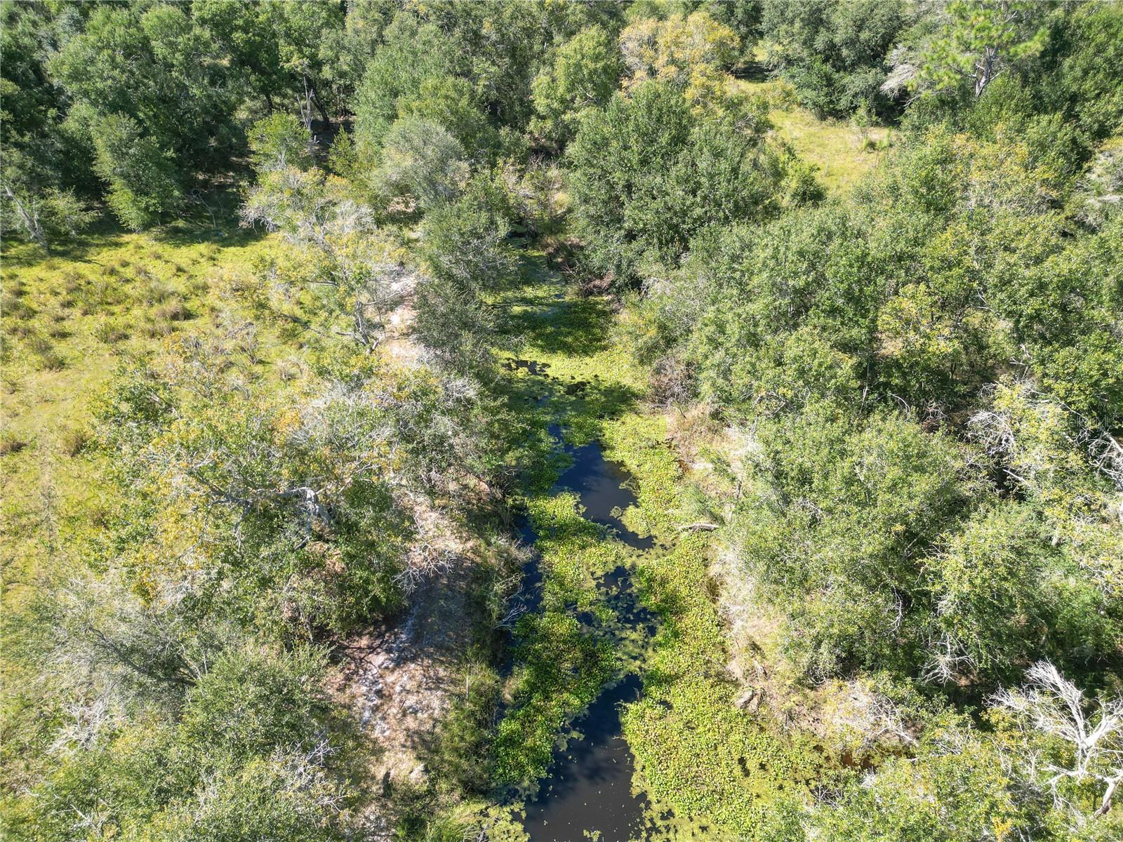 TBD CR 673, WEBSTER, FL — photo 44