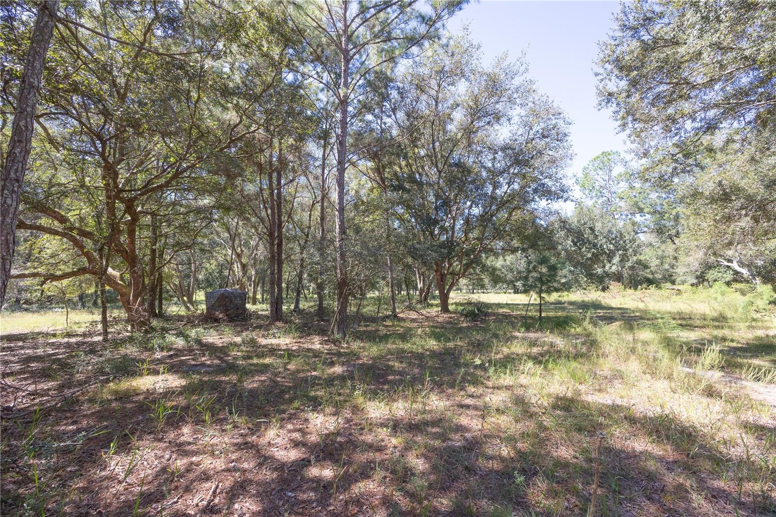 TBD CR 673, WEBSTER, FL — photo 45