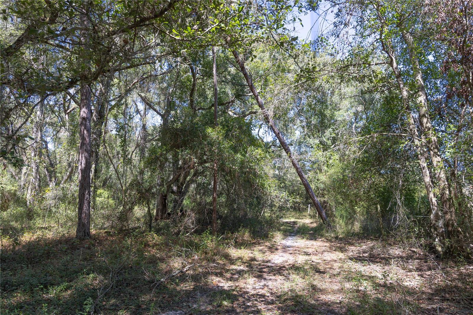 TBD CR 673, WEBSTER, FL — photo 46