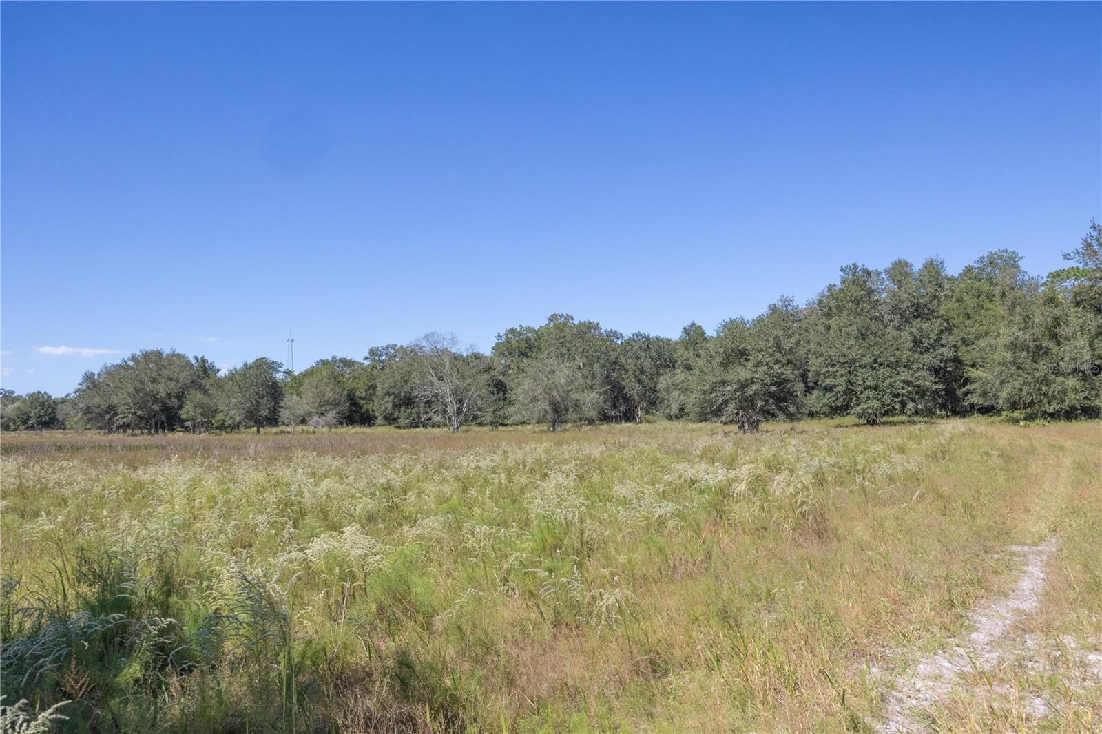 TBD CR 673, WEBSTER, FL — photo 47
