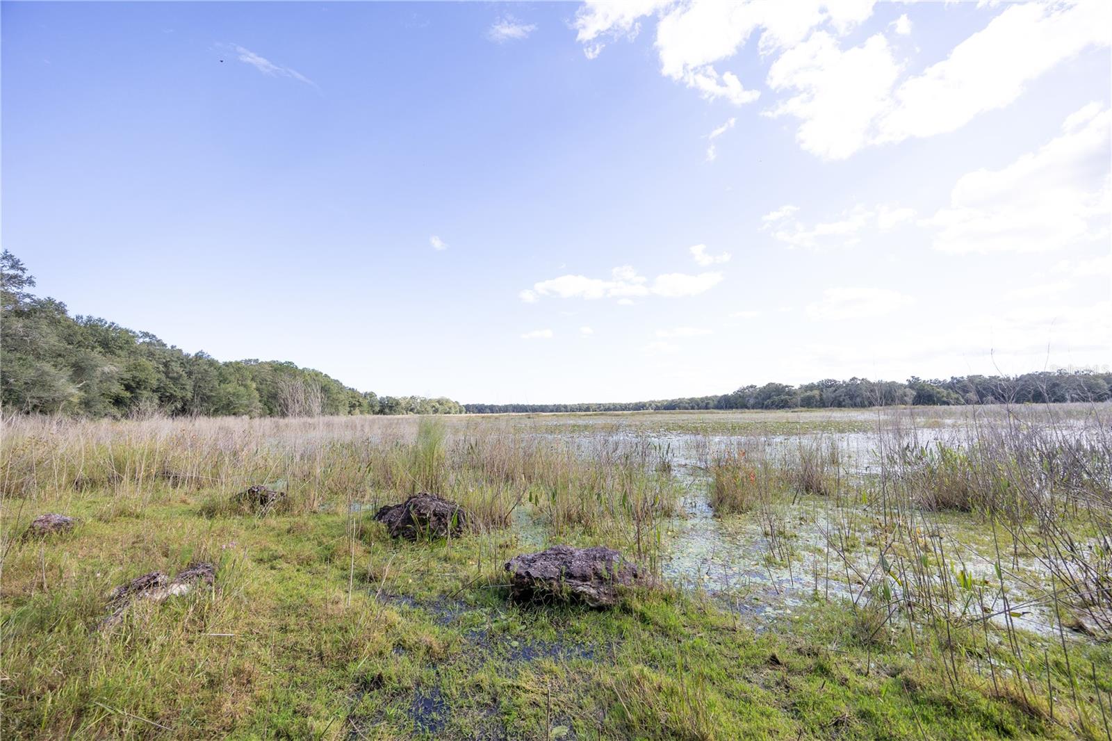 TBD CR 673, WEBSTER, FL — photo 48