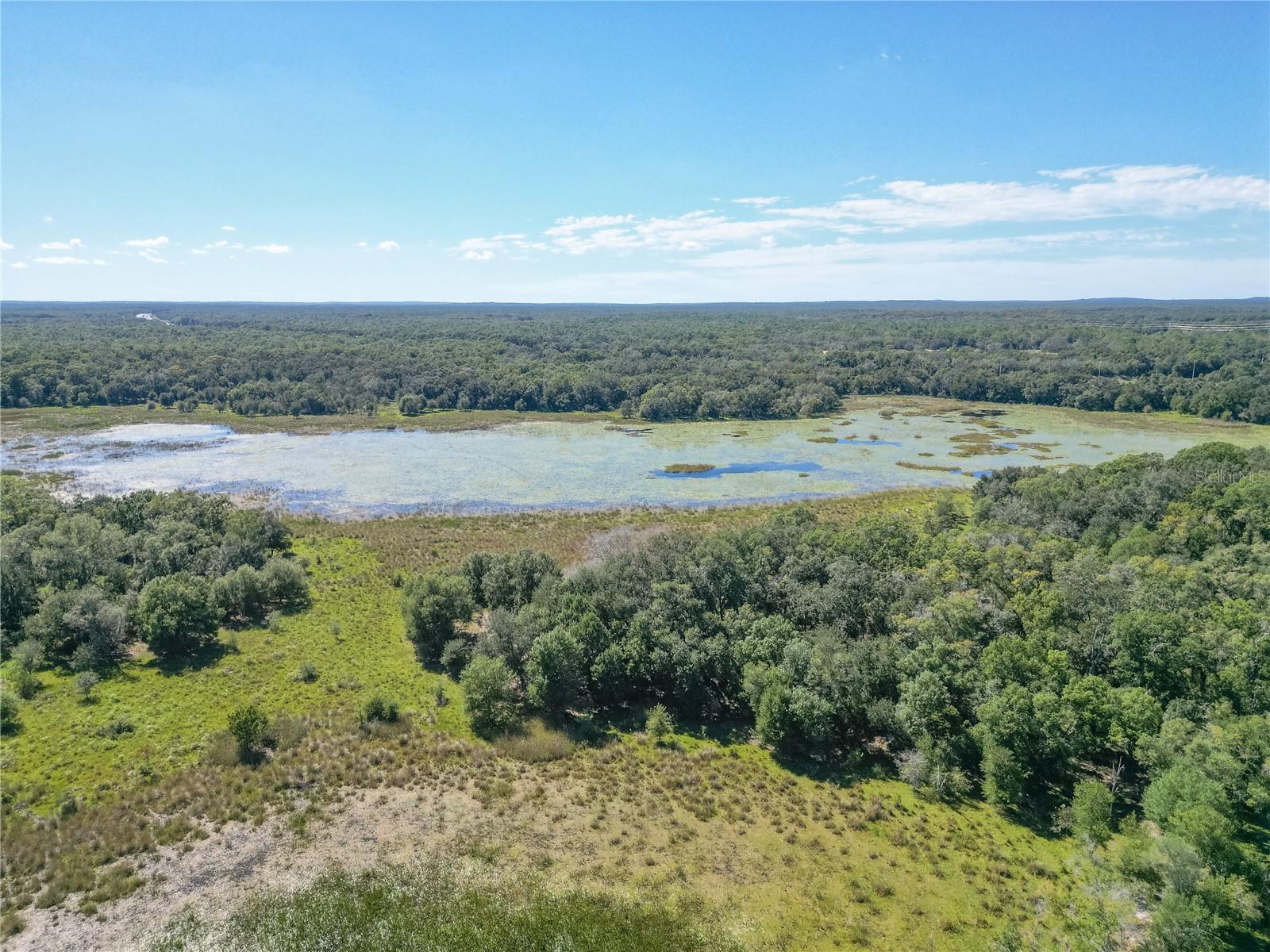 TBD CR 673, WEBSTER, FL — photo 49
