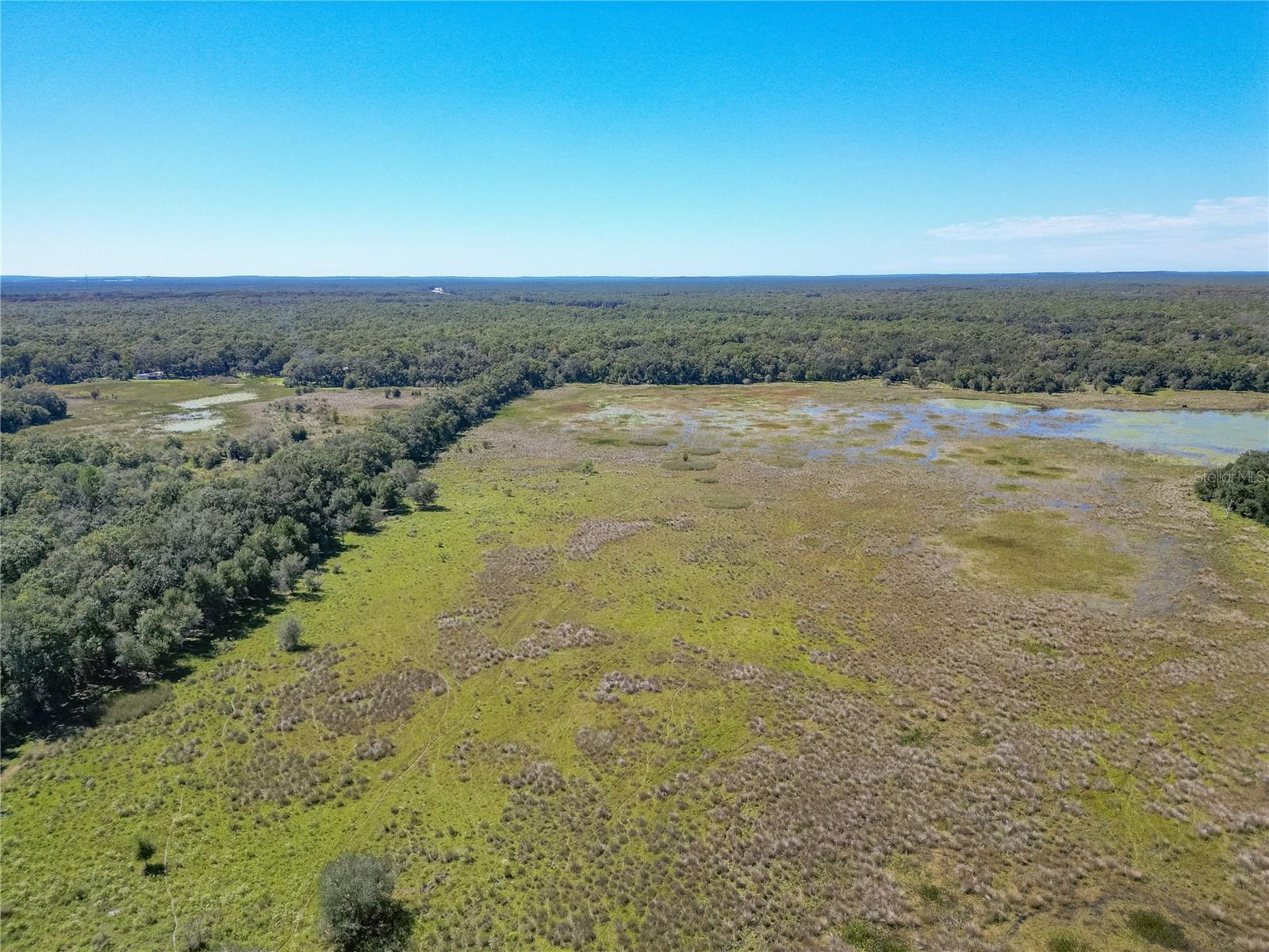 TBD CR 673, WEBSTER, FL — photo 50