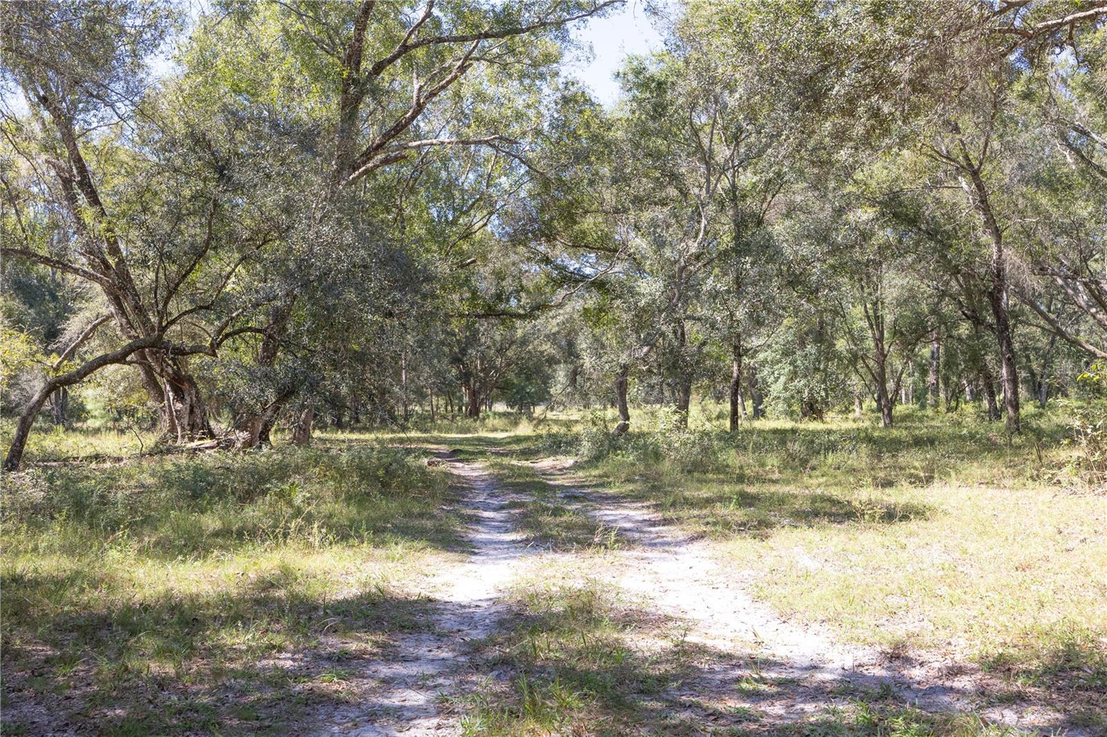 TBD CR 673, WEBSTER, FL — photo 51