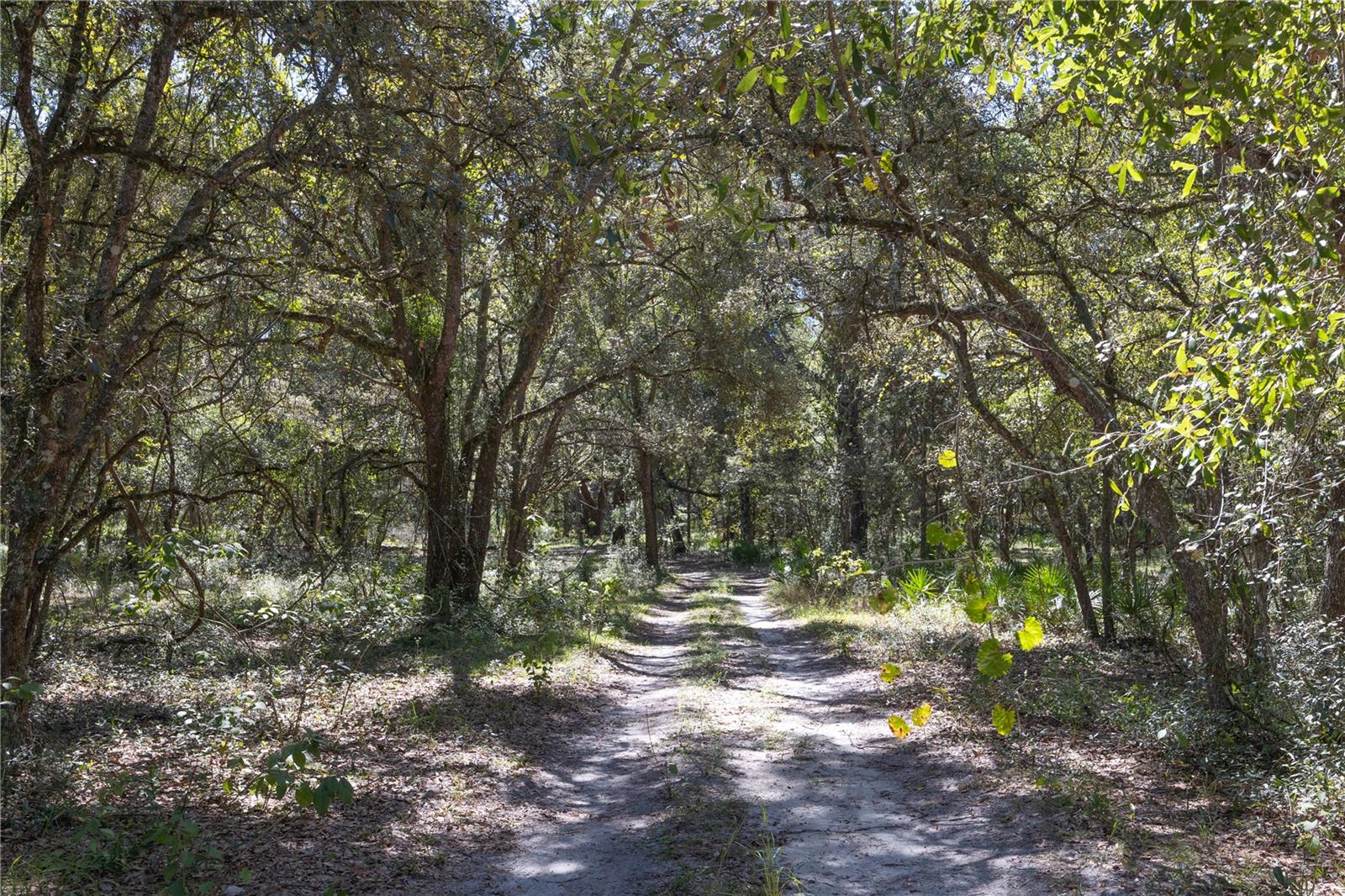 TBD CR 673, WEBSTER, FL — photo 55