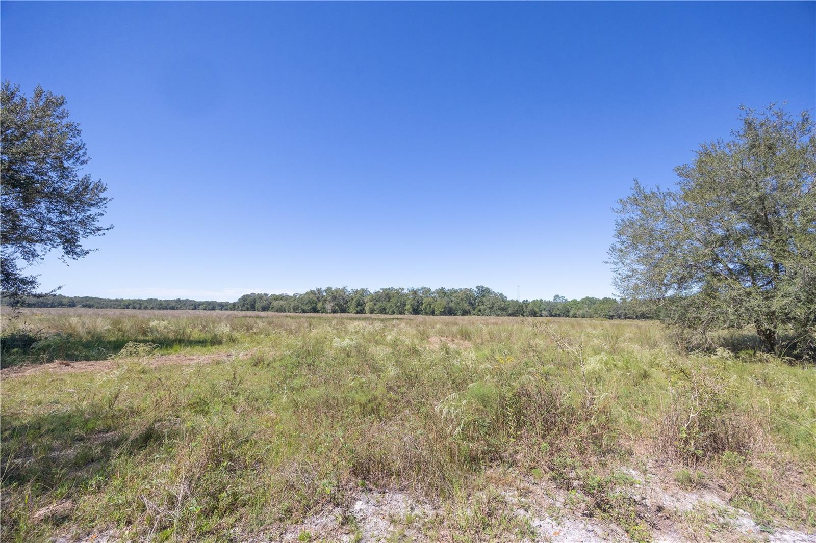 TBD CR 673, WEBSTER, FL — photo 56