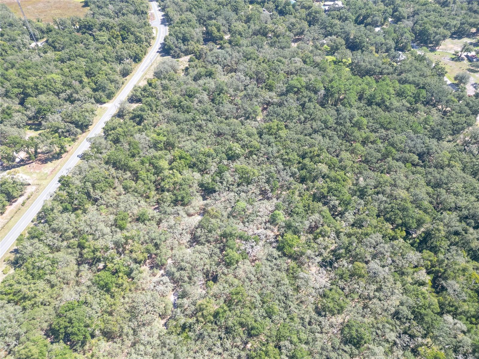 TBD CR 673, WEBSTER, FL — photo 57