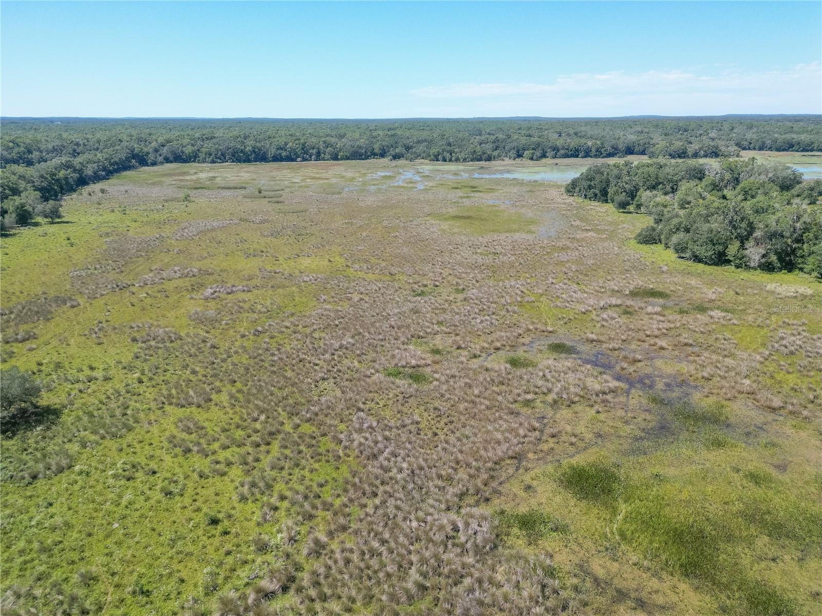 TBD CR 673, WEBSTER, FL — photo 59