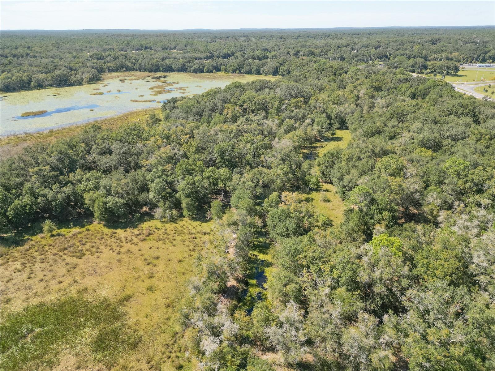 TBD CR 673, WEBSTER, FL — photo 60