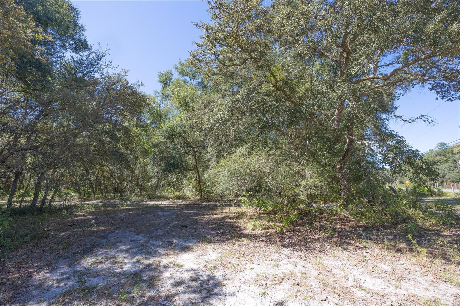 TBD CR 673, WEBSTER, FL — photo 62