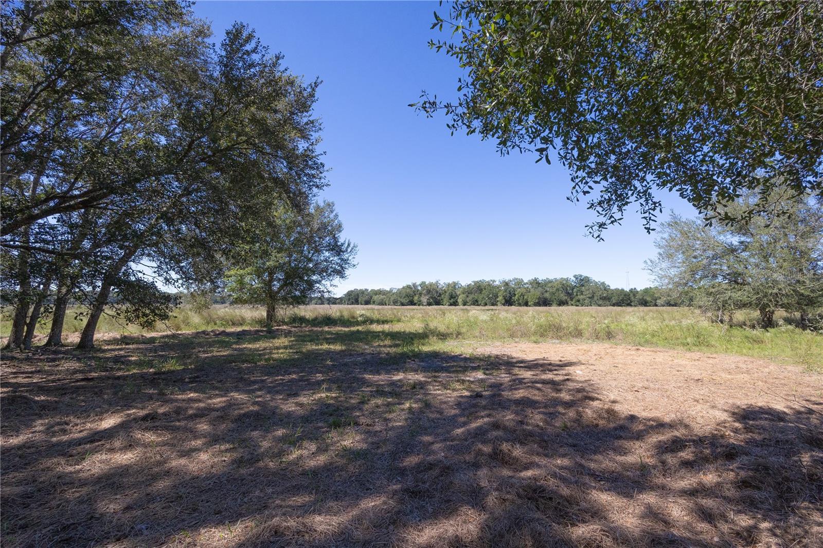 TBD CR 673, WEBSTER, FL — photo 64