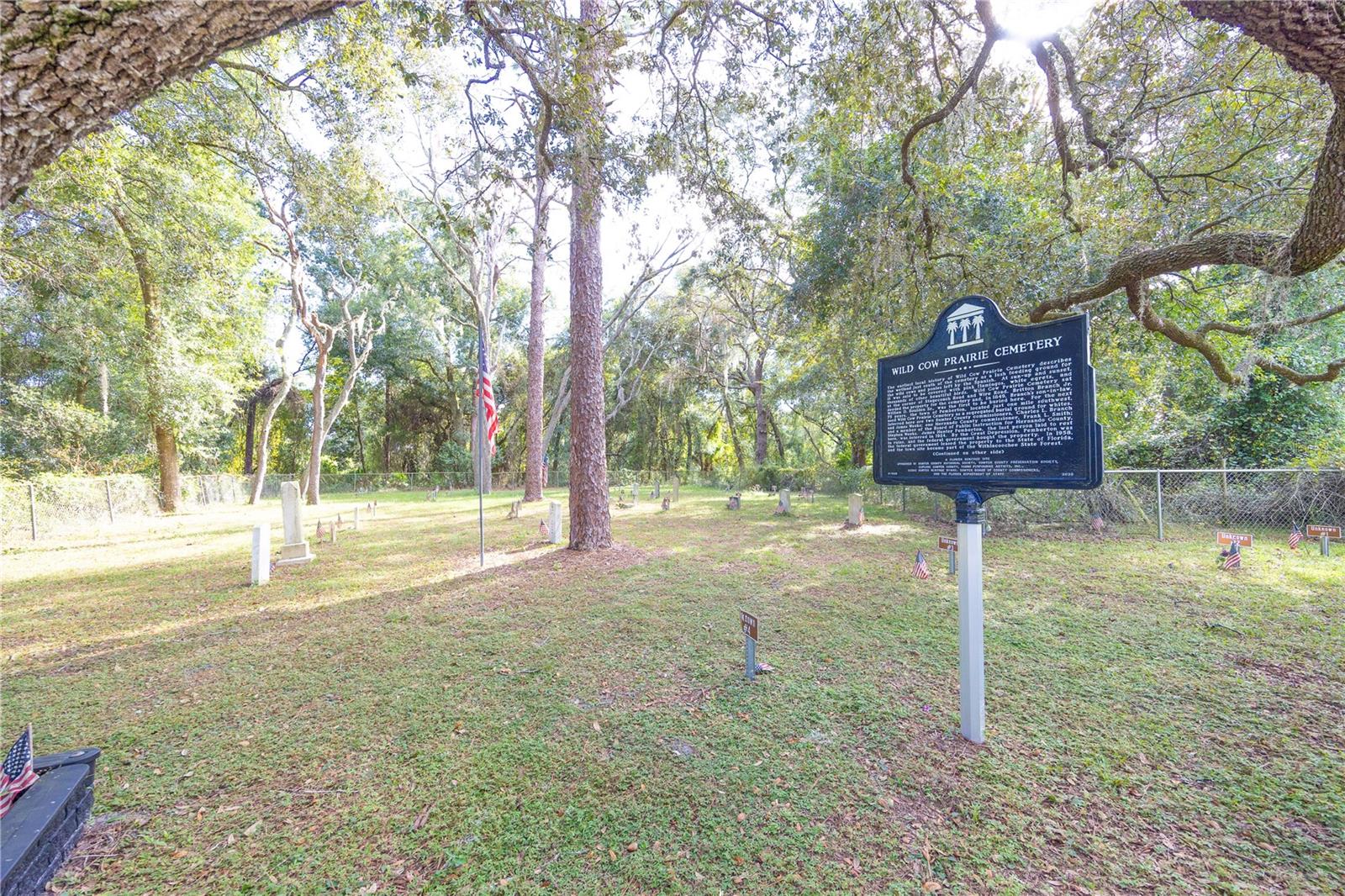 TBD CR 673, WEBSTER, FL — photo 67
