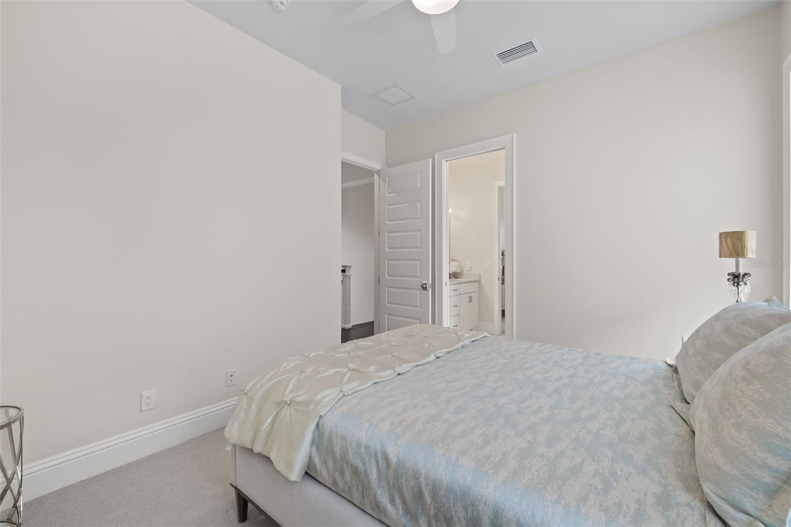 319 12TH AVE NE, ST PETERSBURG, FL — photo 99