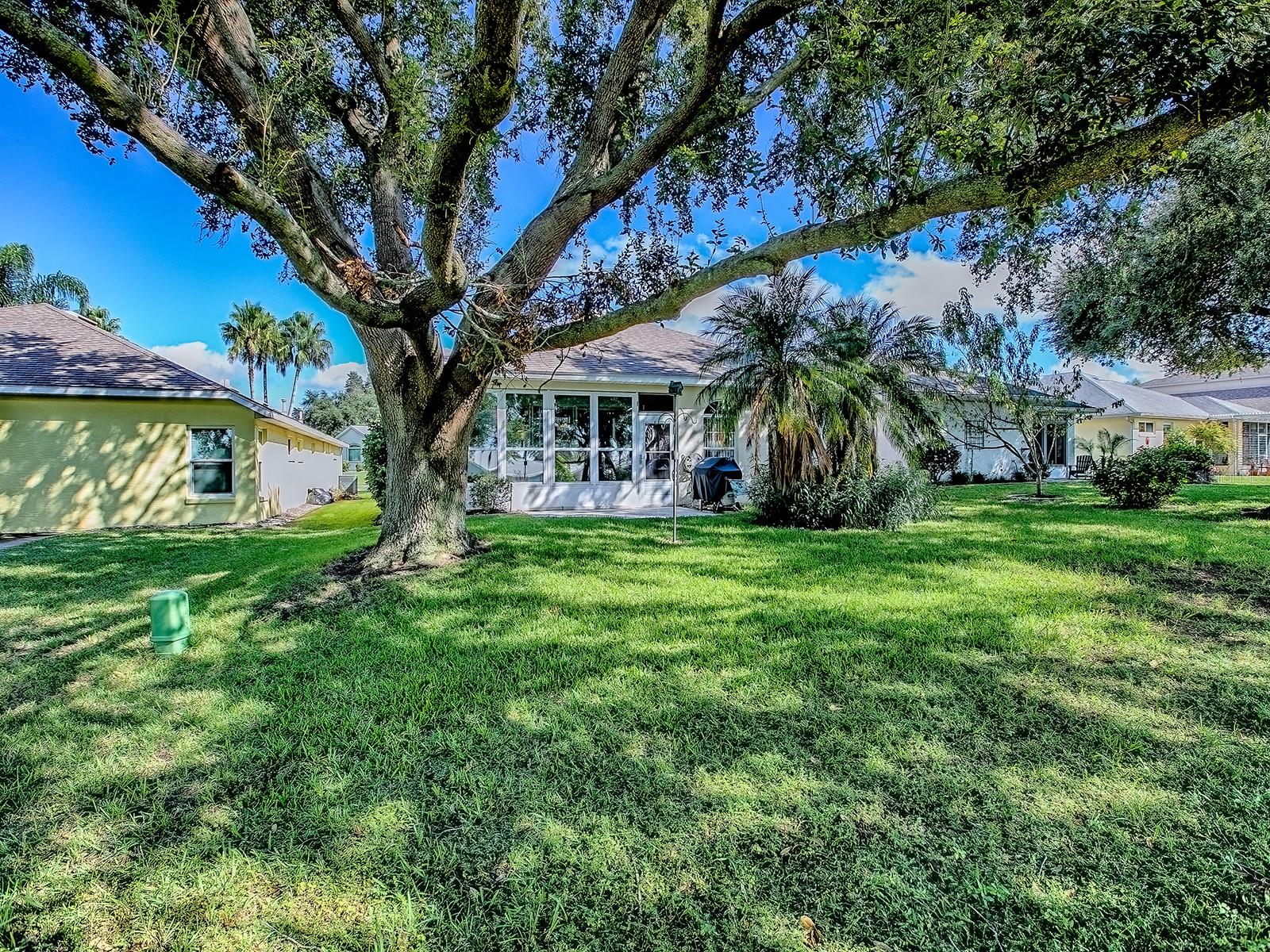 3592 TROPICAL SEAS LOOP, TAVARES, FL — photo 75