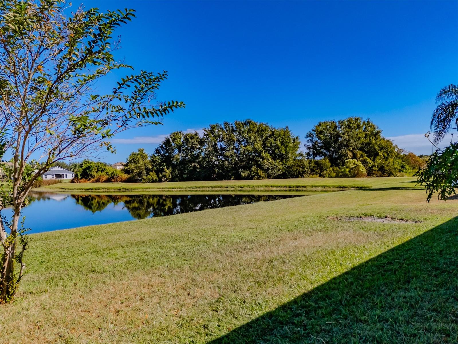 11470 WESTON COURSE LOOP, RIVERVIEW, FL — photo 54