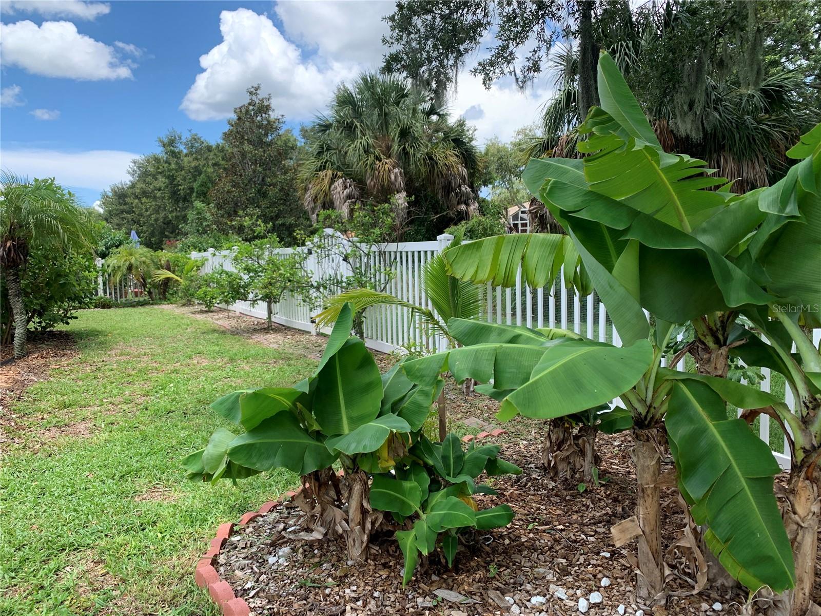 10308 HOLLAND RD, RIVERVIEW, FL — photo 55