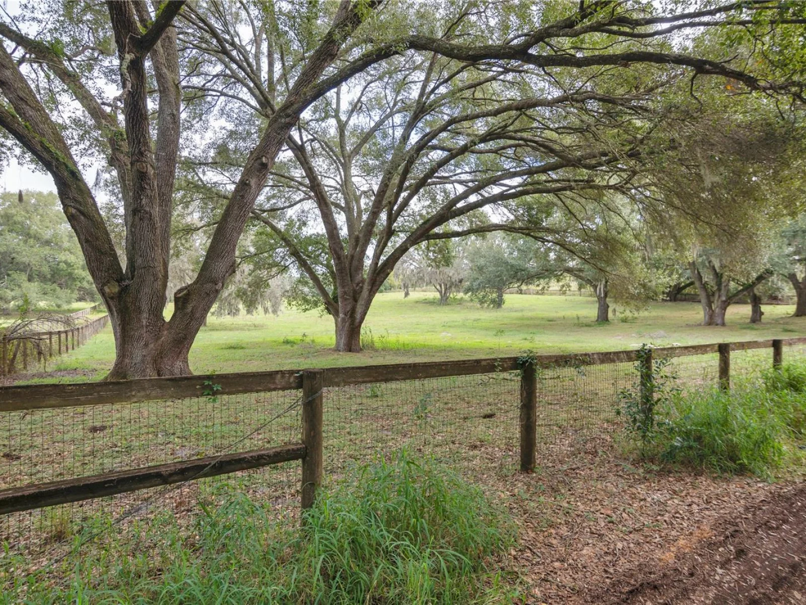 0 ROLLING ACRES RD, FRUITLAND PARK, FL — photo 12