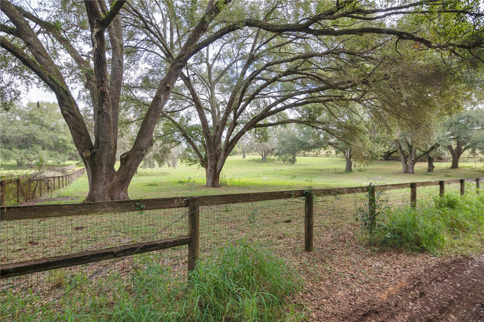 0 ROLLING ACRES RD, FRUITLAND PARK, FL — photo 11