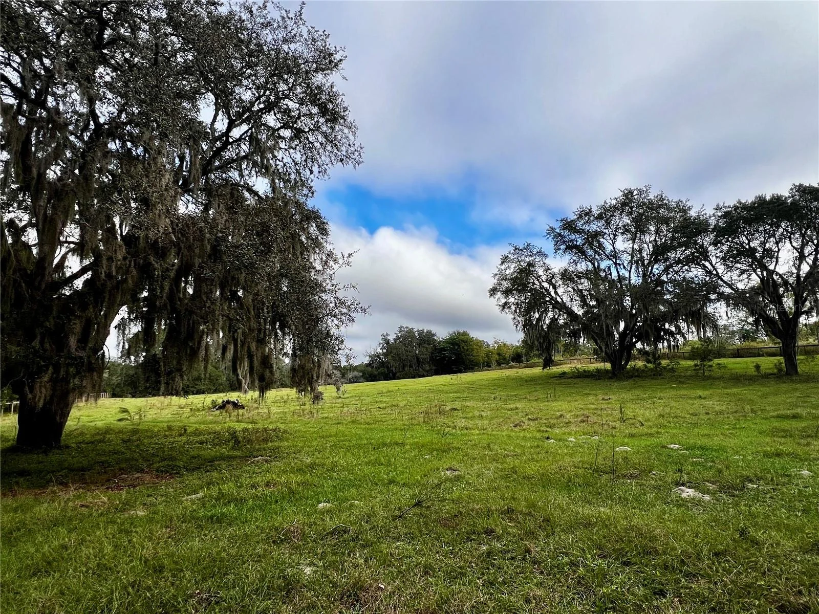 0 ROLLING ACRES RD, FRUITLAND PARK, FL — photo 29