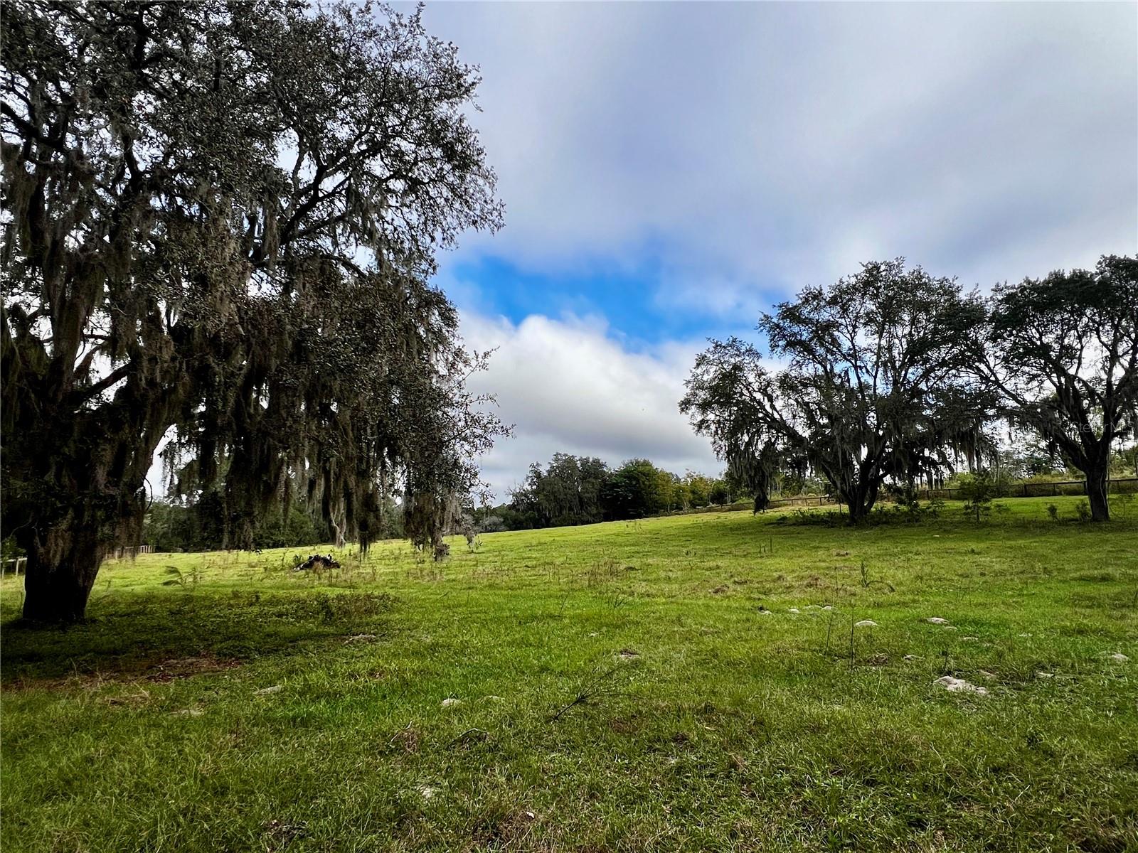 0 ROLLING ACRES RD, FRUITLAND PARK, FL — photo 30