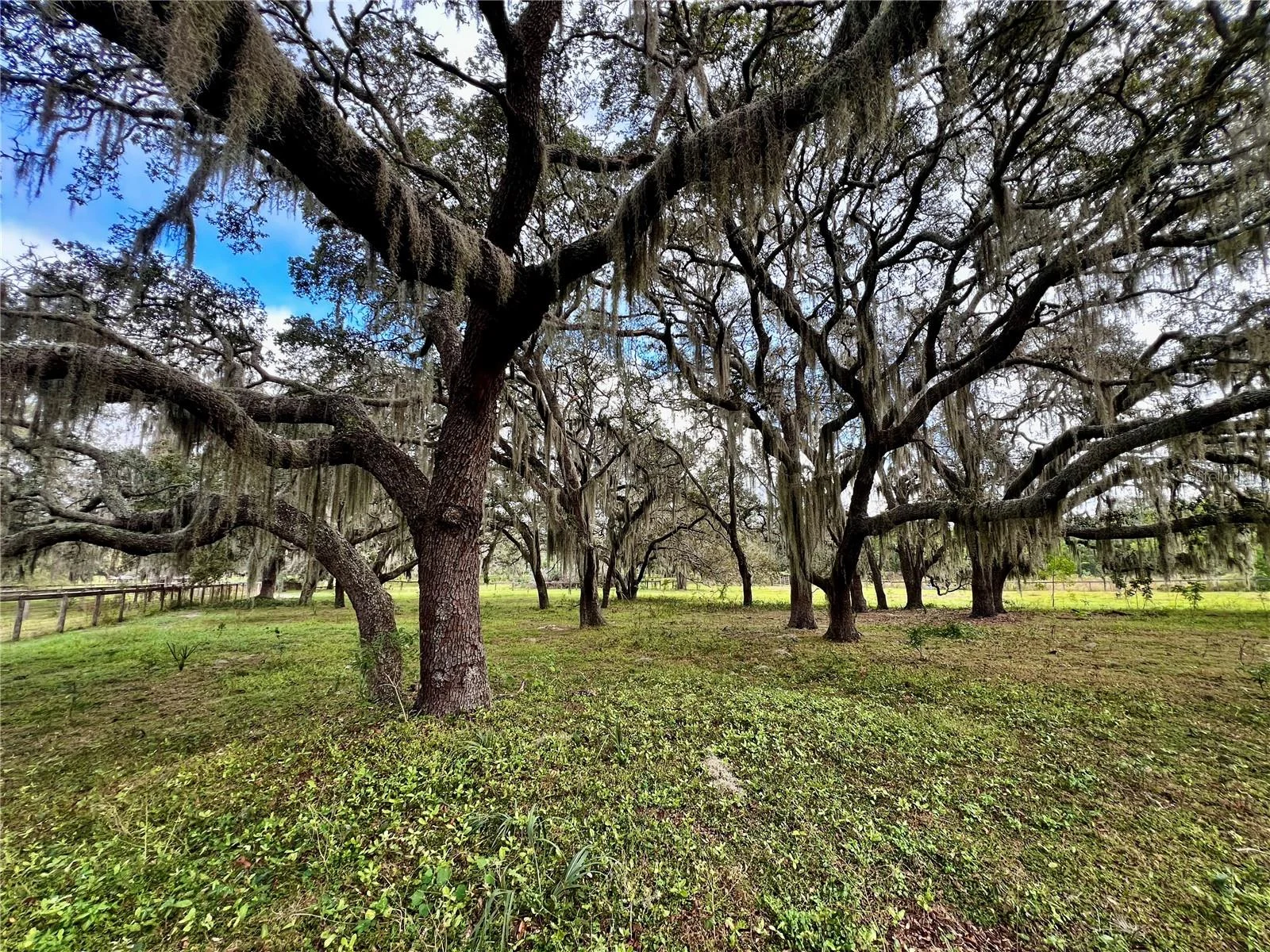 0 ROLLING ACRES RD, FRUITLAND PARK, FL — photo 36