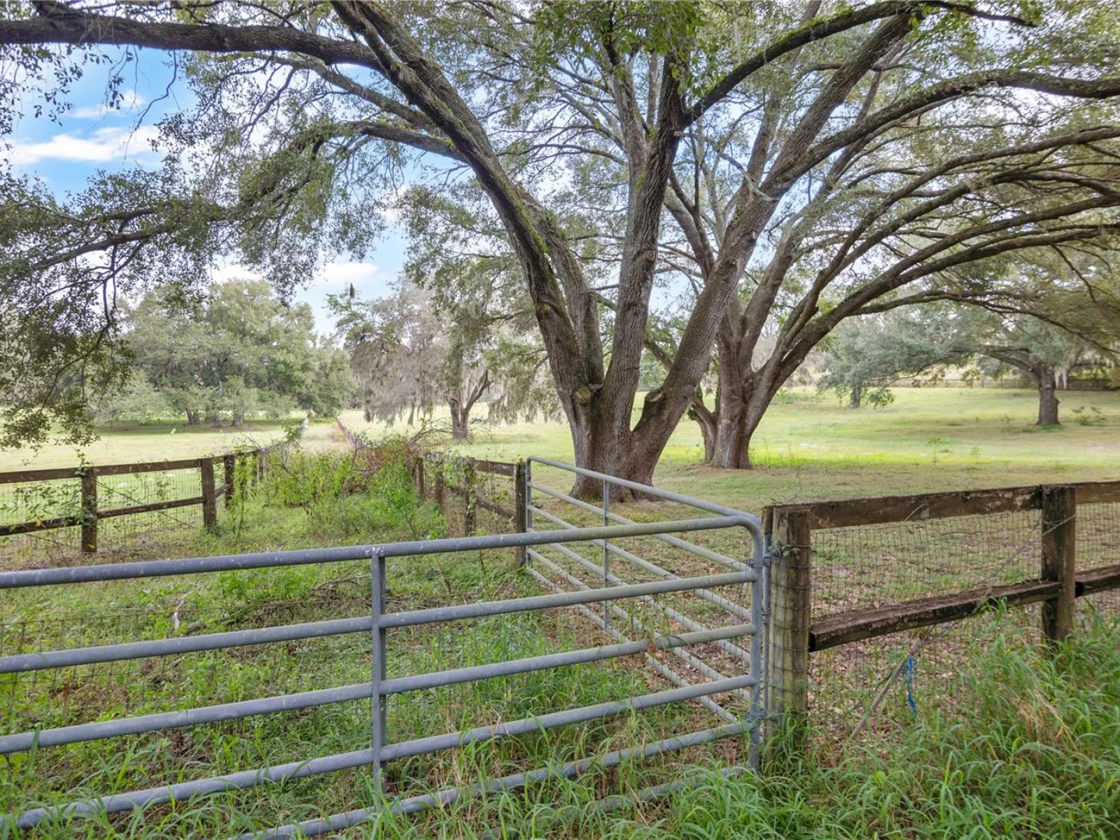 0 ROLLING ACRES RD, FRUITLAND PARK, FL — photo 56