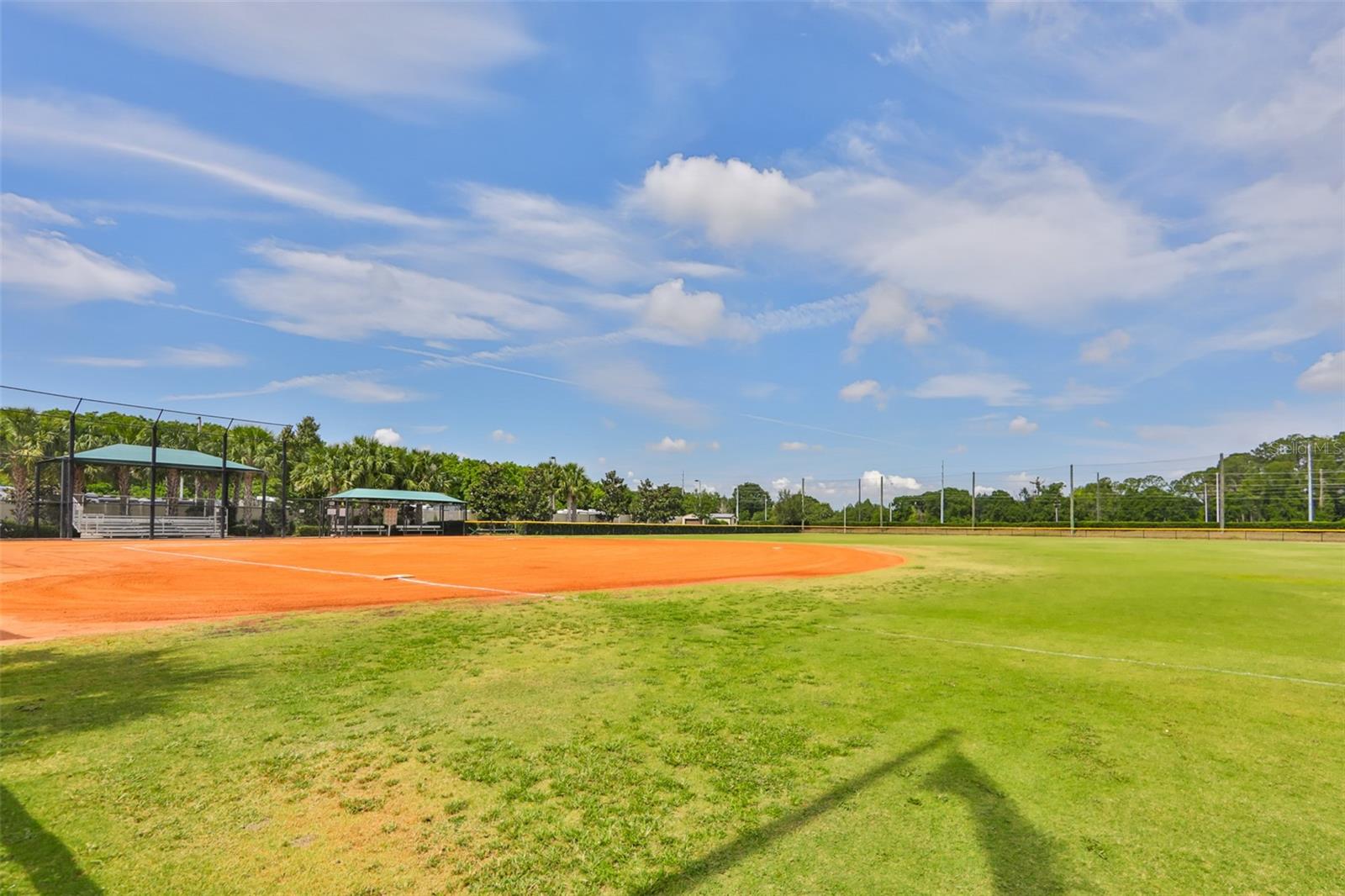 15948 COBBLE MILL DR, WIMAUMA, FL — photo 57
