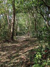 2830 S FRENCH AVE, SANFORD, FL — photo 8