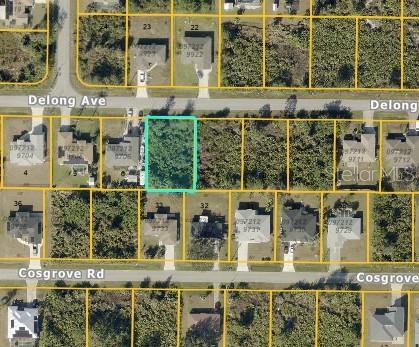 DELONG AVE, NORTH PORT, FL