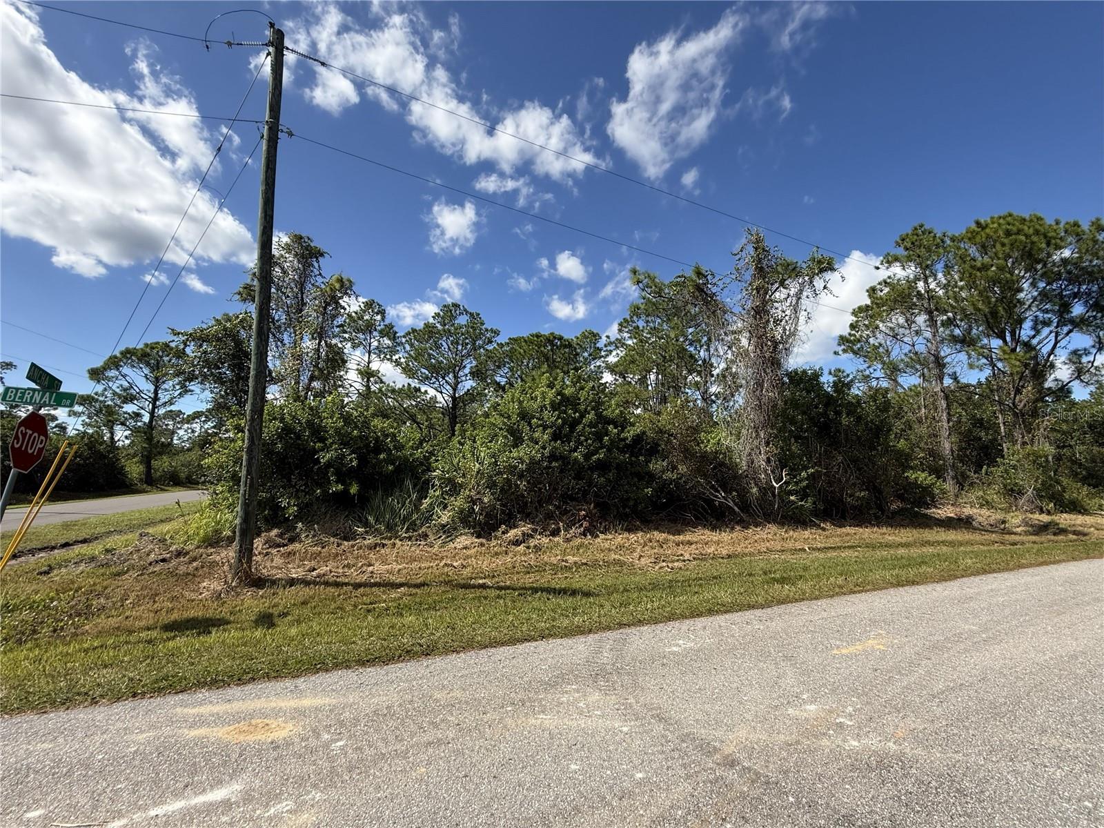 7538 BERNAL DR, SEBRING, FL — photo 9