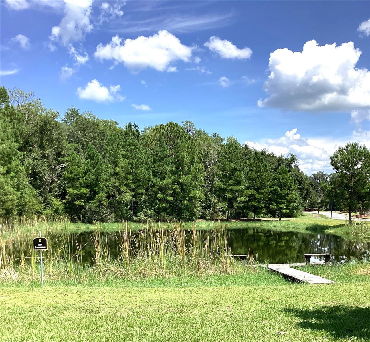 616 SW ROSEMARY DR, LAKE CITY, FL — photo 27