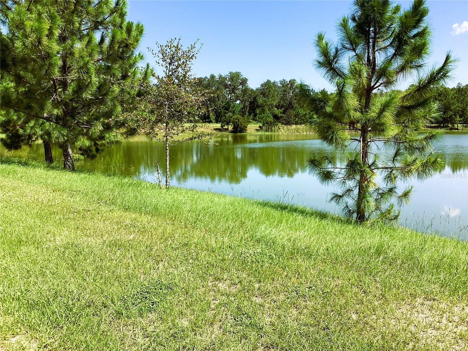 616 SW ROSEMARY DR, LAKE CITY, FL — photo 30