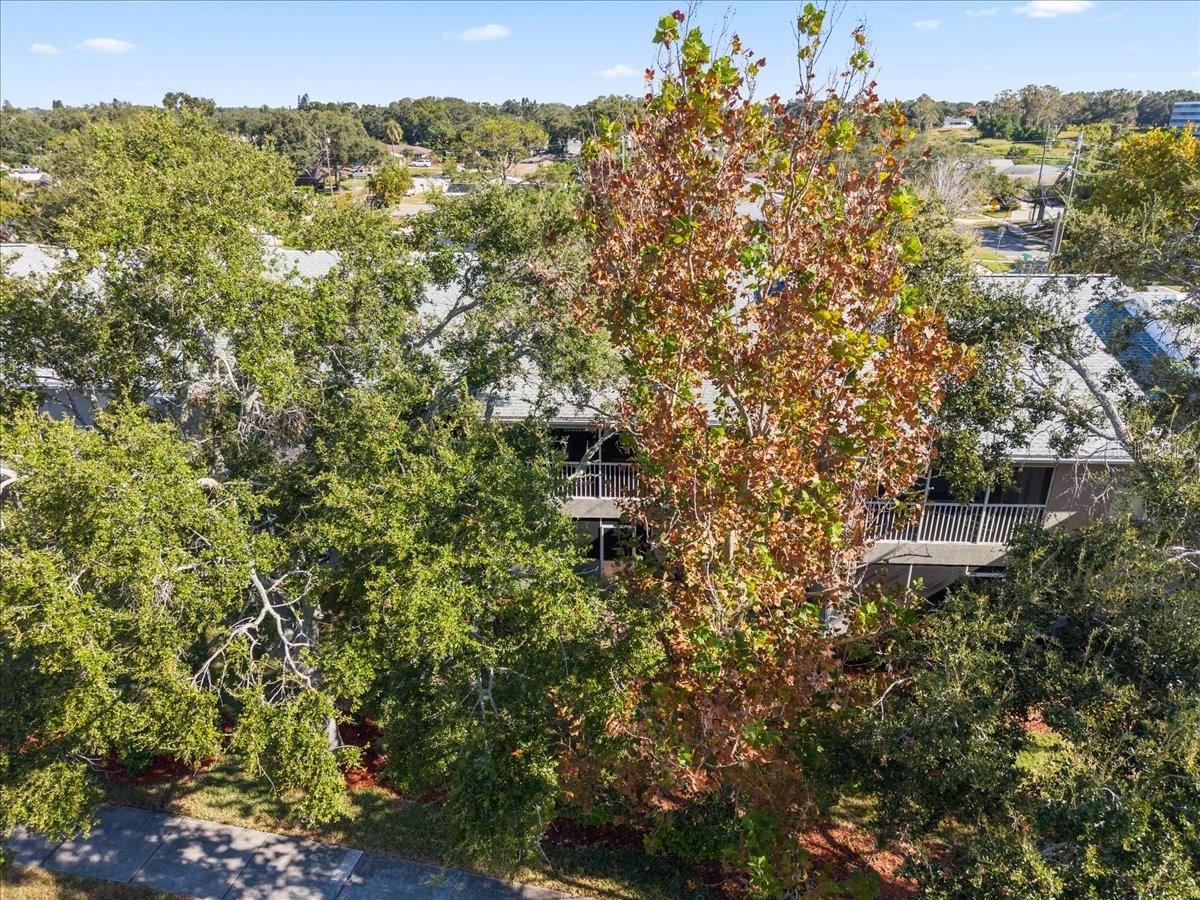 14460 MARINA WAY #18, SEMINOLE, FL — photo 52