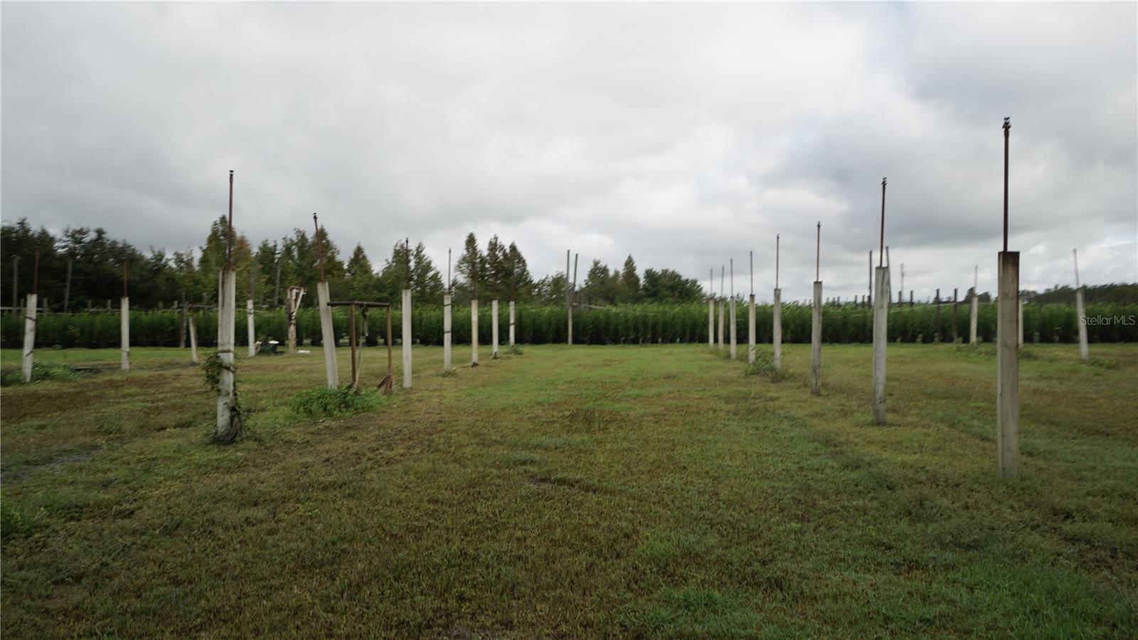 00 DOUGLAS RD, GROVELAND, FL — photo 39