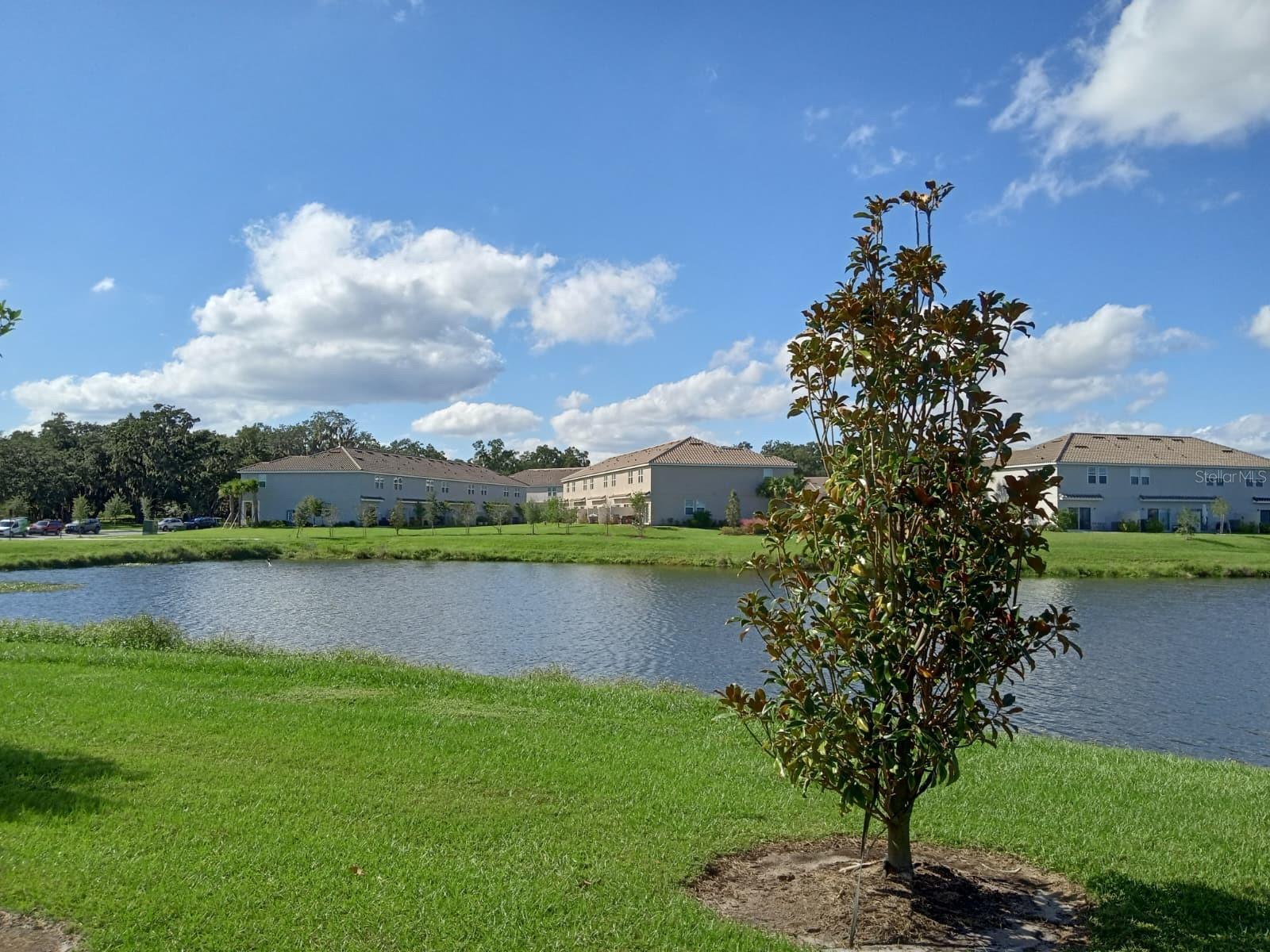 3604 LANDING NET DR, KISSIMMEE, FL — photo 5