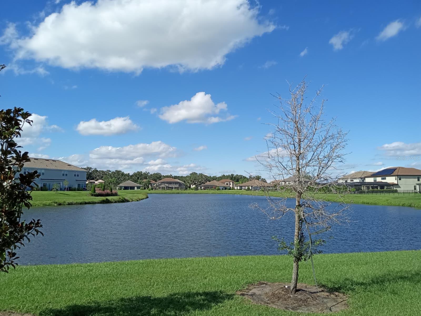 3604 LANDING NET DR, KISSIMMEE, FL — photo 6