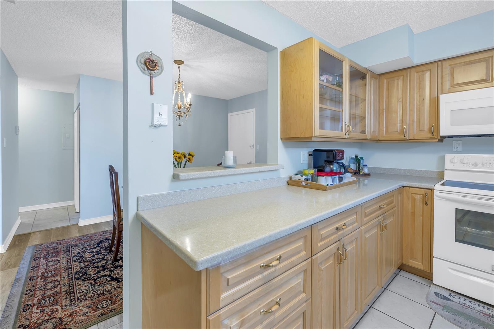 4115 34TH WAY S #195, ST PETERSBURG, FL — photo 11