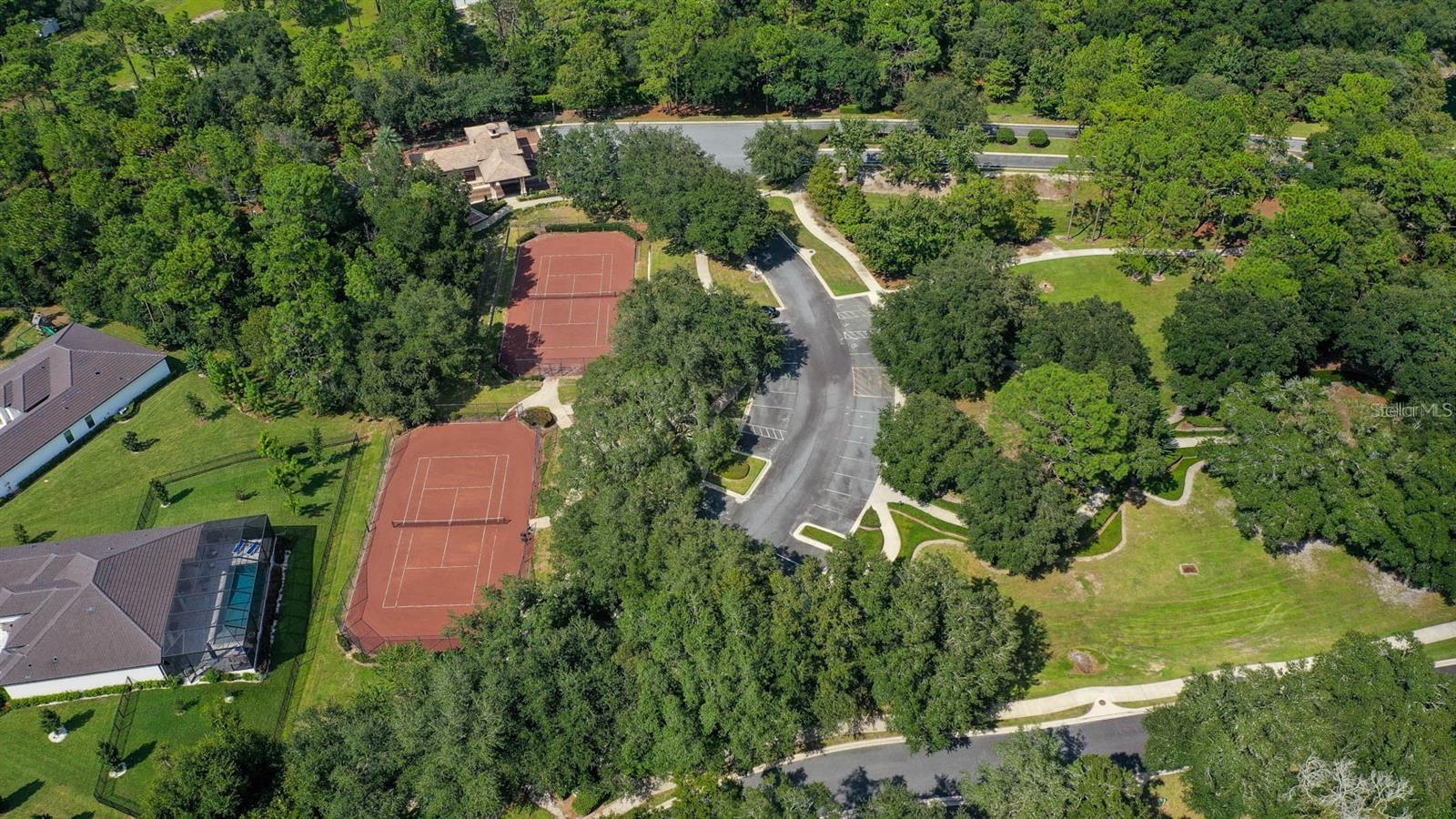 31958 REDTAIL RESERVE BLVD, SORRENTO, FL — photo 79