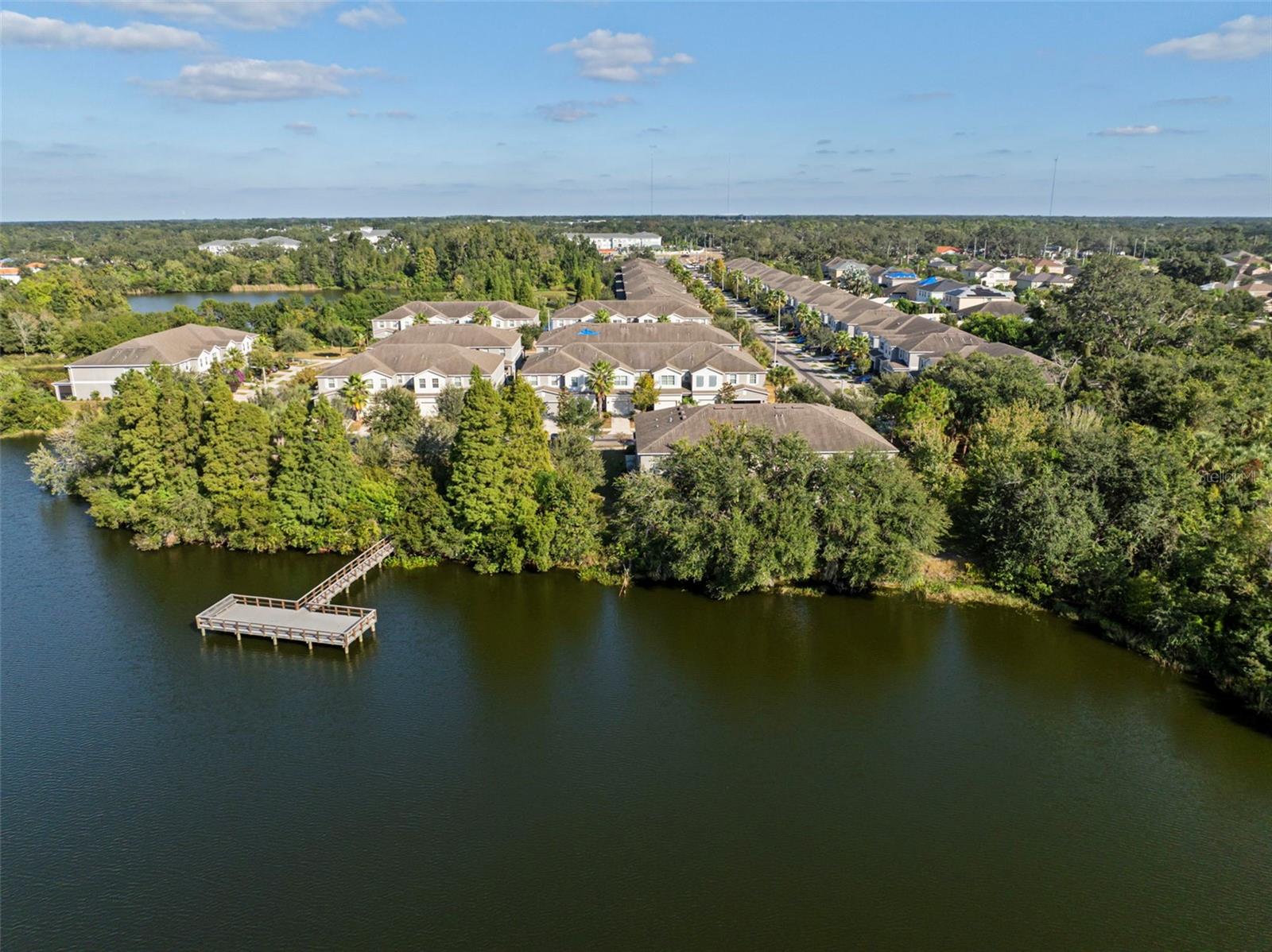 10523 LAKE MONTAUK DR, RIVERVIEW, FL — photo 4