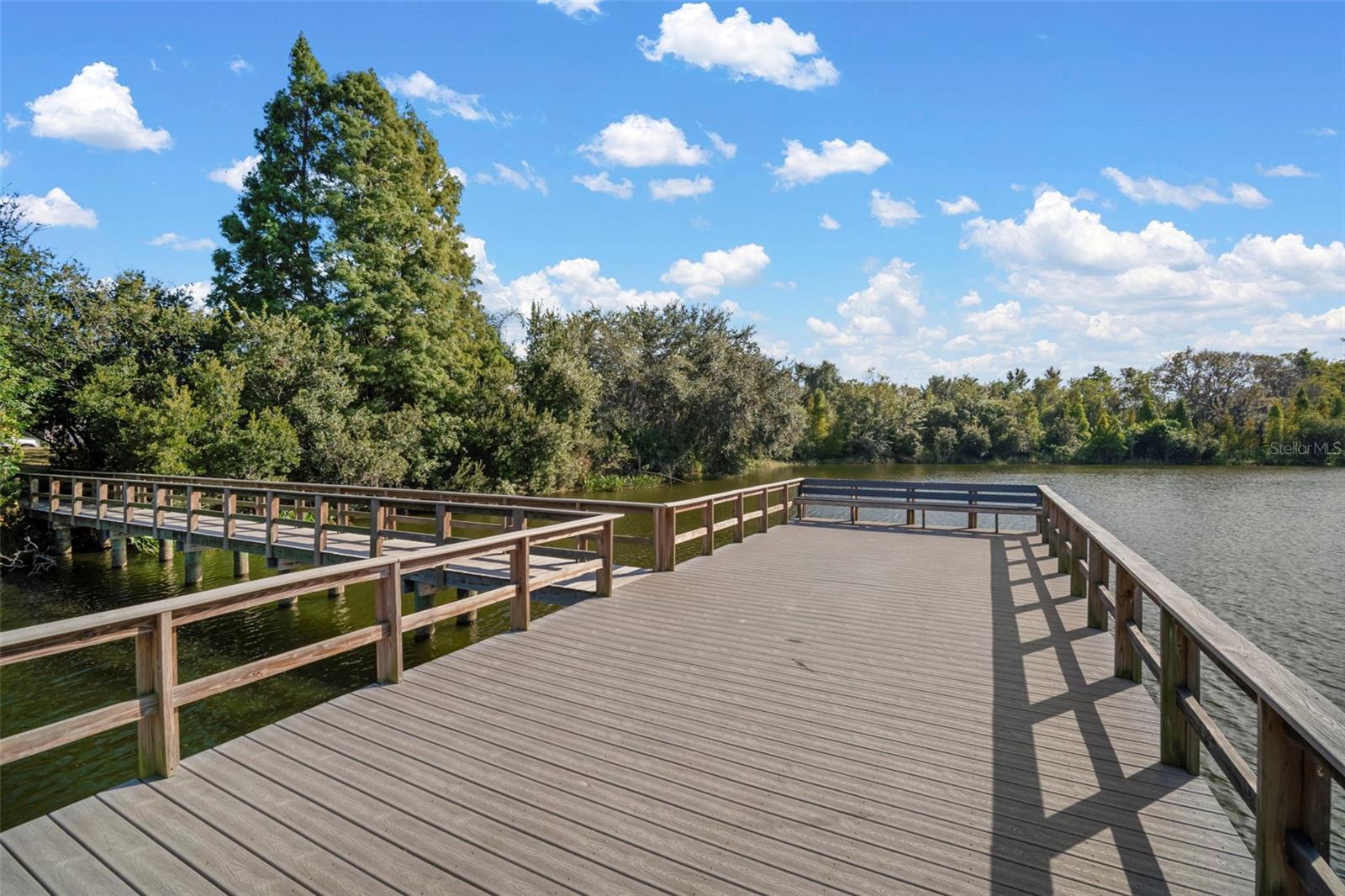 10523 LAKE MONTAUK DR, RIVERVIEW, FL — photo 39