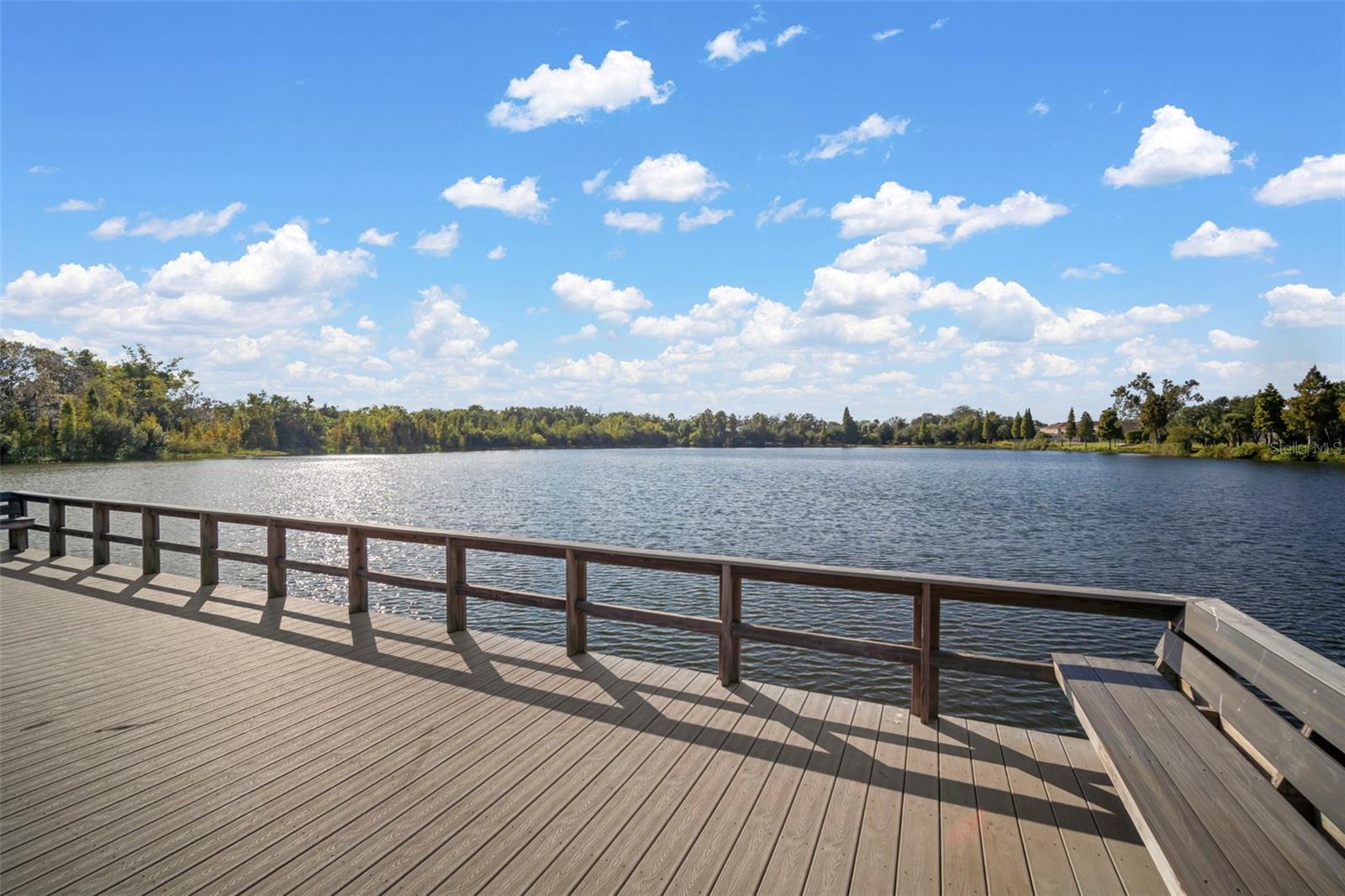 10523 LAKE MONTAUK DR, RIVERVIEW, FL — photo 46